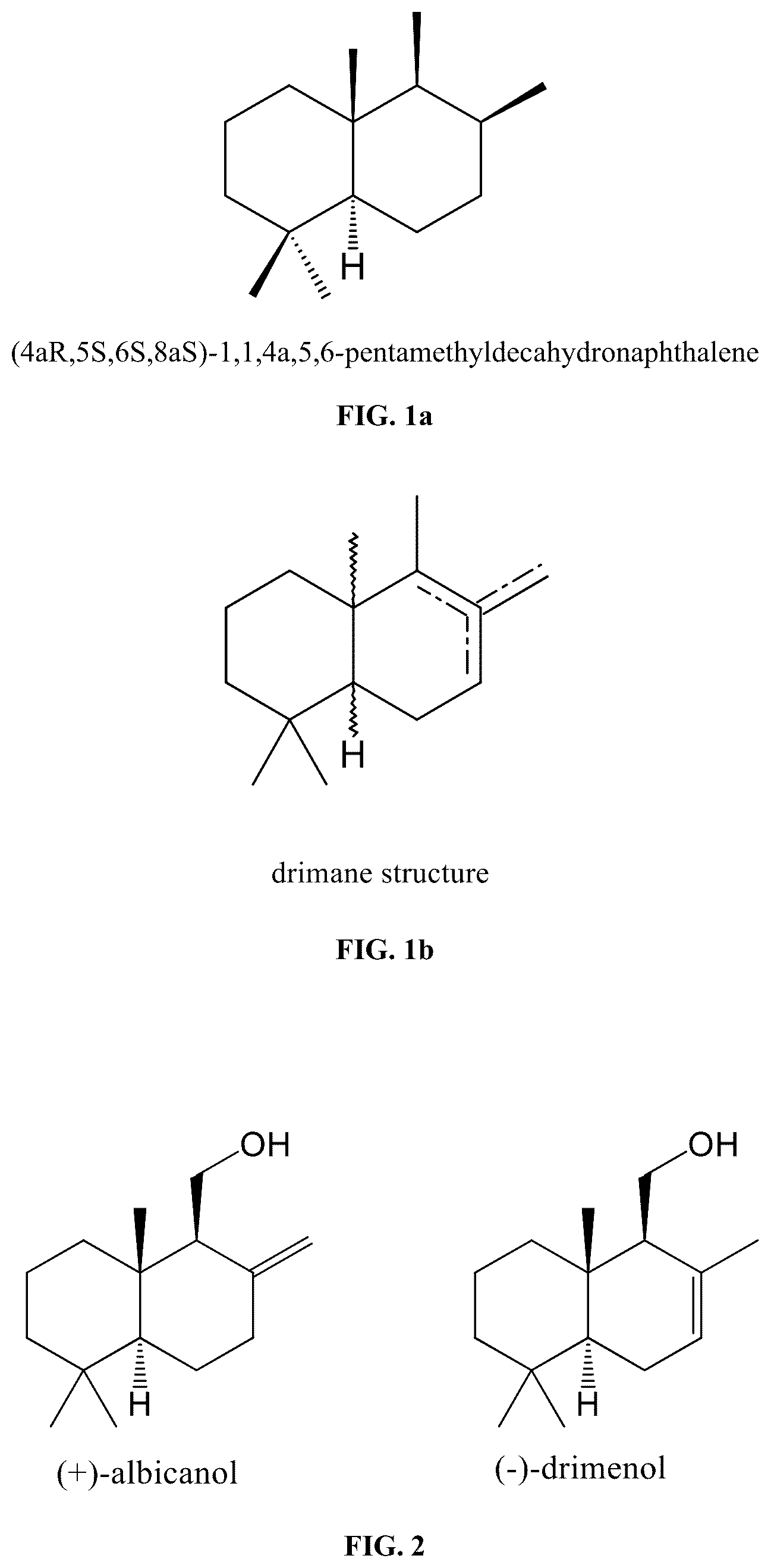 Patent US12612653 Figure 1 – Polypeptides for producing albicanol and/or drimenol compounds