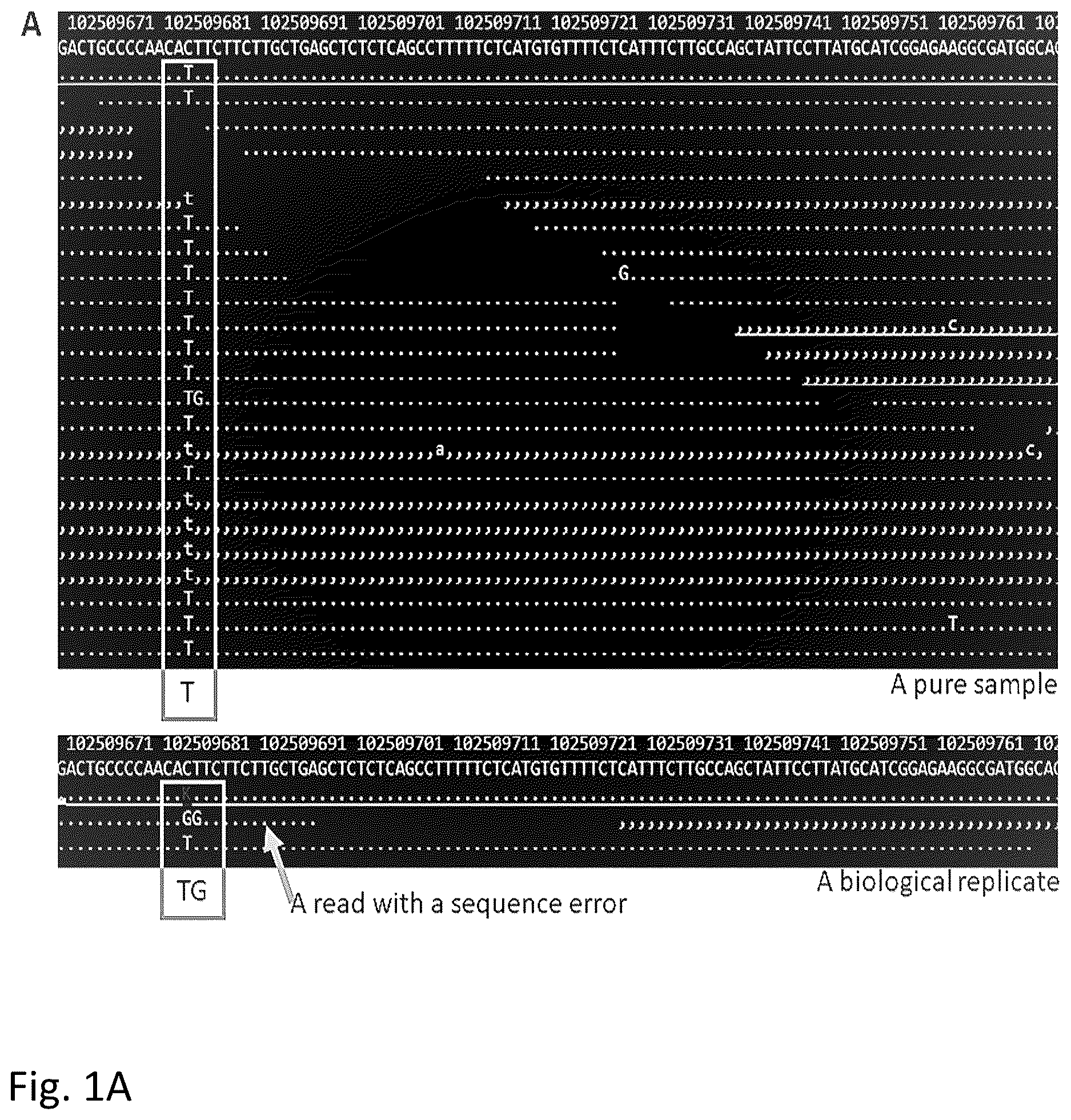 Patent US12612655 — Methods for screening biological samples for contamination — Figure 1