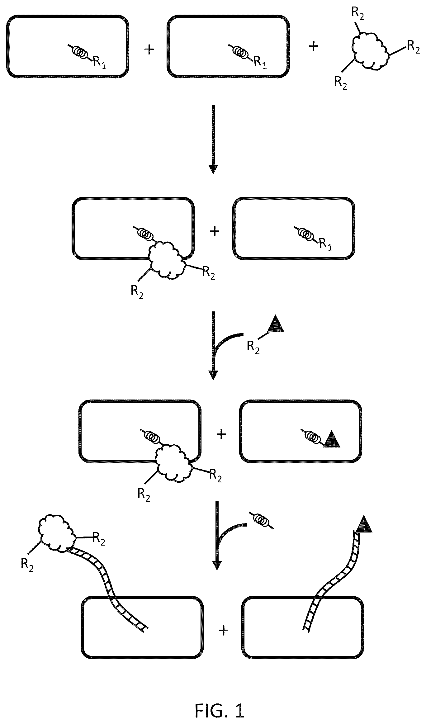 Patent US12612656 — Particle-based isolation of proteins and other analytes — Figure 1