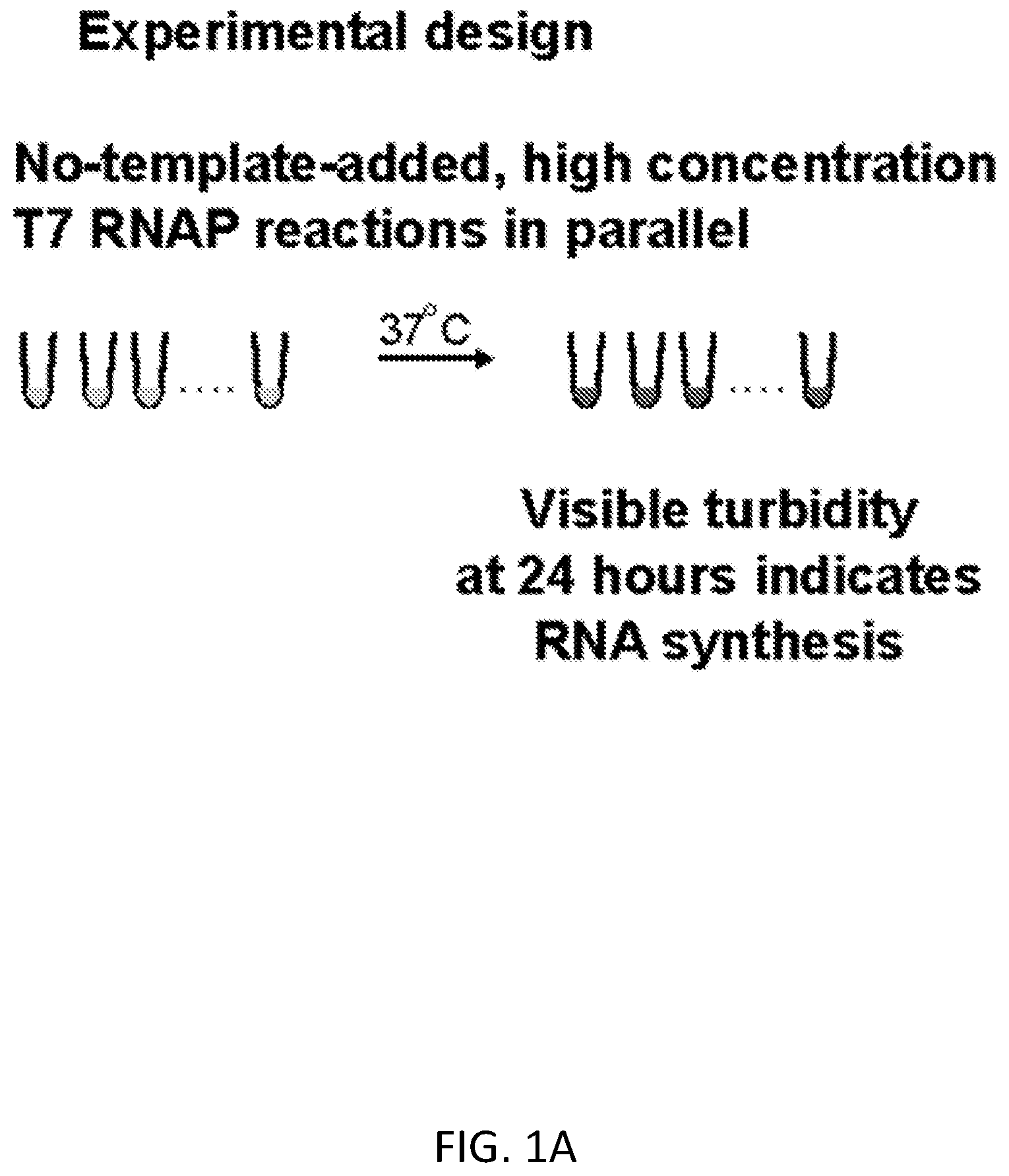 Patent US12612658 — RNA replication using transcription polymerases — Figure 1