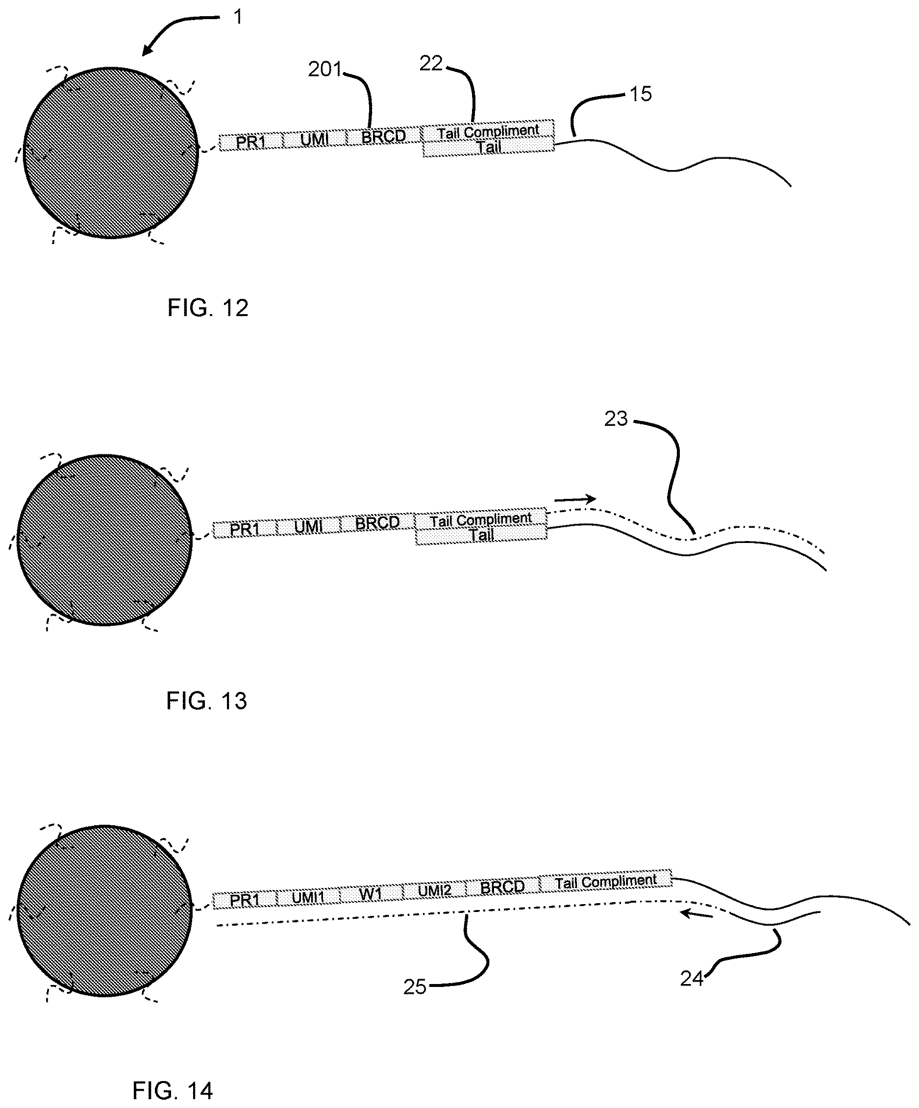 Patent US12612666 Figure 6 – Single cell sequencing