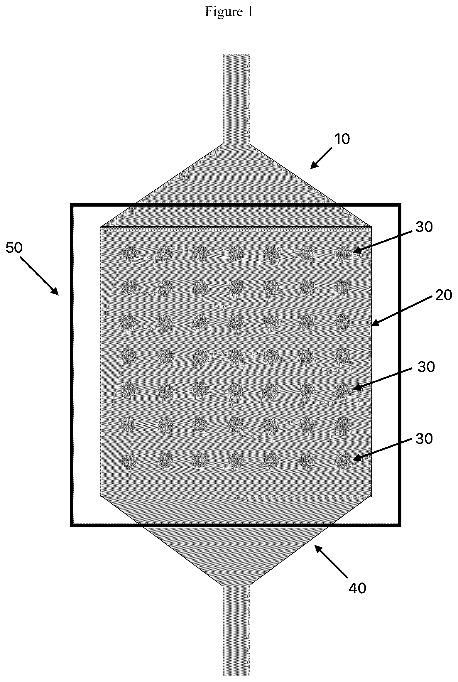Patent US12612667 — Solid phase recombinase polymerase amplification for human pathogen identification — Figure 1