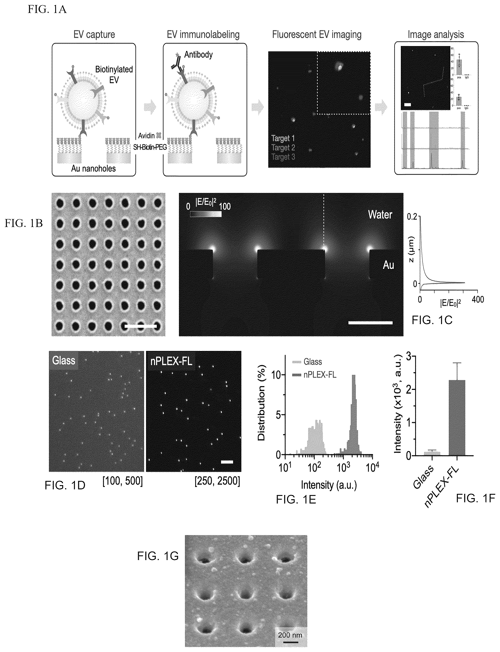 Patent US12613188 Figure 1 – Methods and systems of enhancing electromagnetic radiation signals from extracellular vesicles