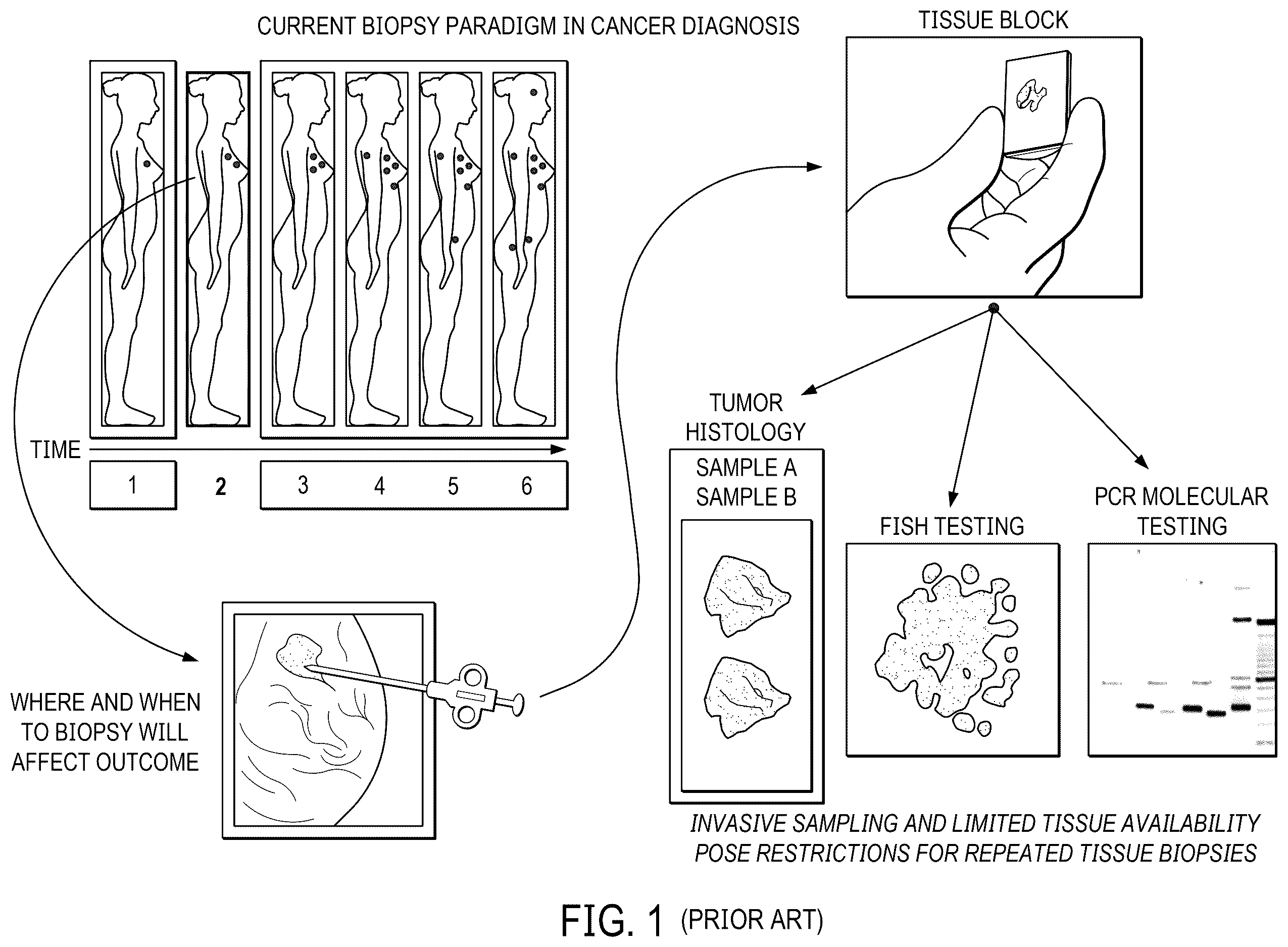 Patent US12613190 — Quantitative liquid biopsy diagnostic system and methods — Figure 1
