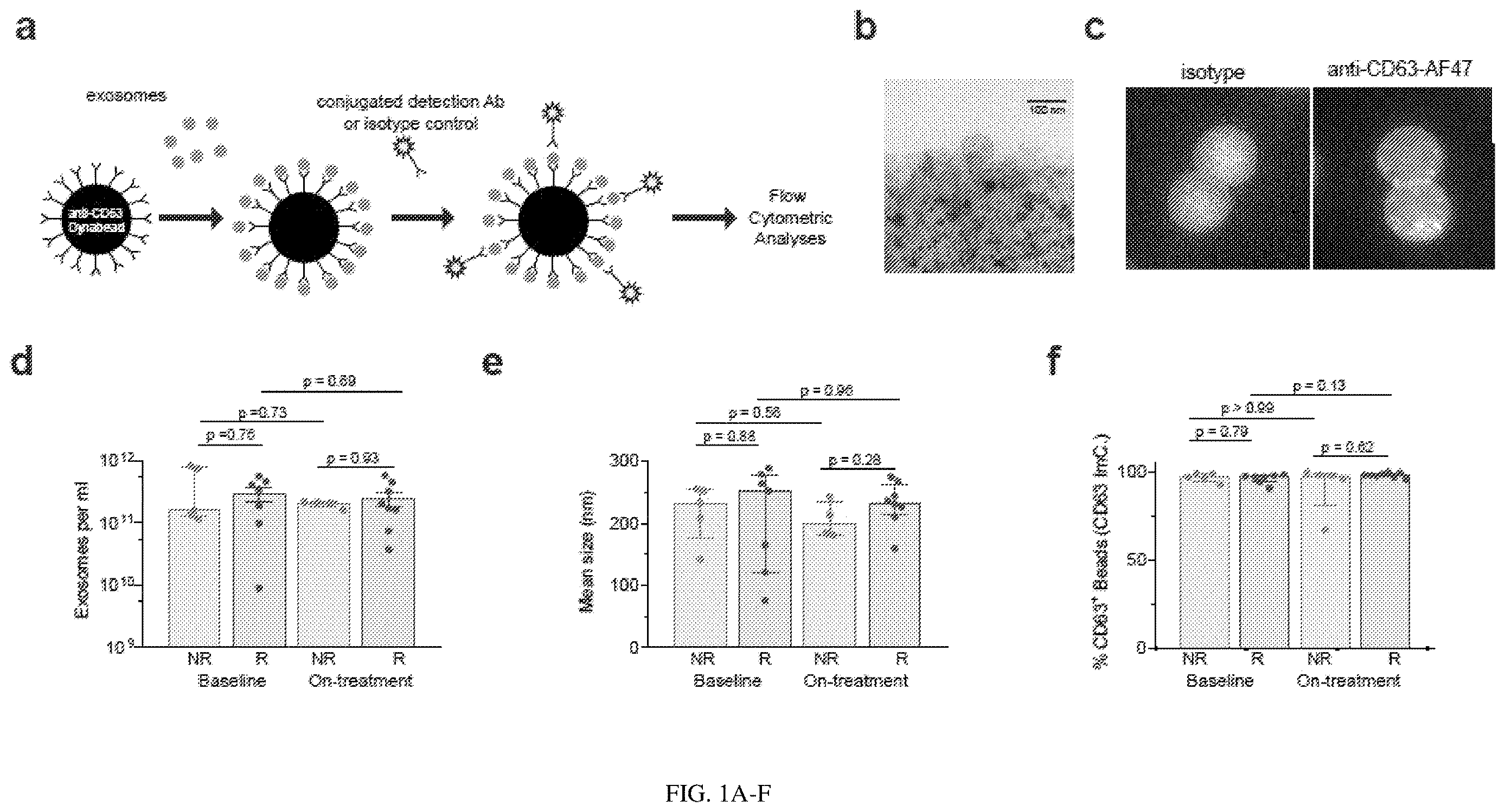 Patent US12613238 — Diagnostic and prognostic utility of exosomes in immunotherapy — Figure 1