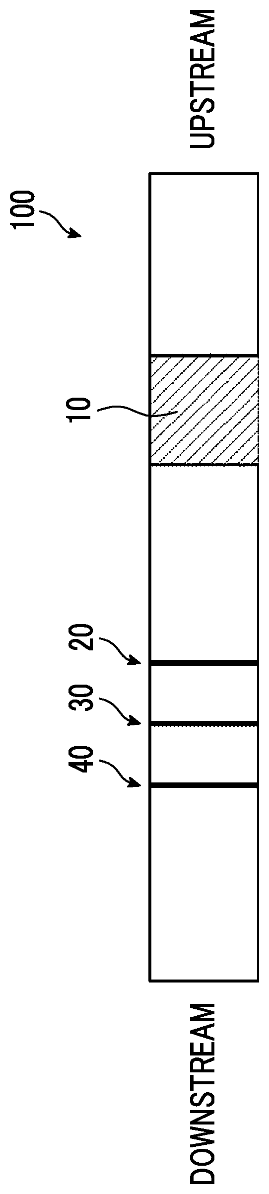 Patent US12613240 — Immunochromatography — Figure 1