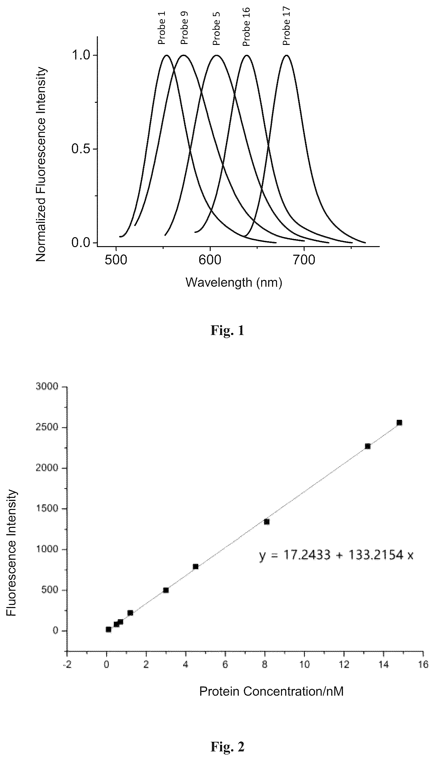 Patent US12613246 — Fluorescent probe and protein labeling method — Figure 1
