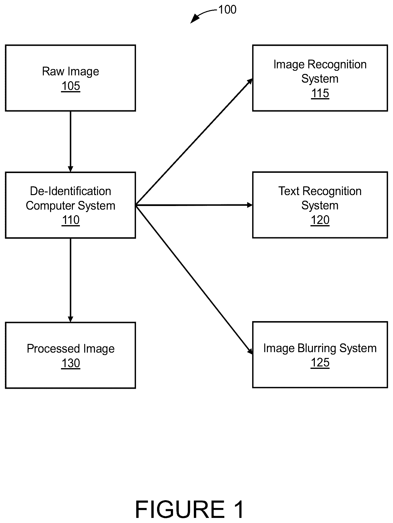 Patent US12613996 — Systems and methods for image privacy and de-identification — Figure 1