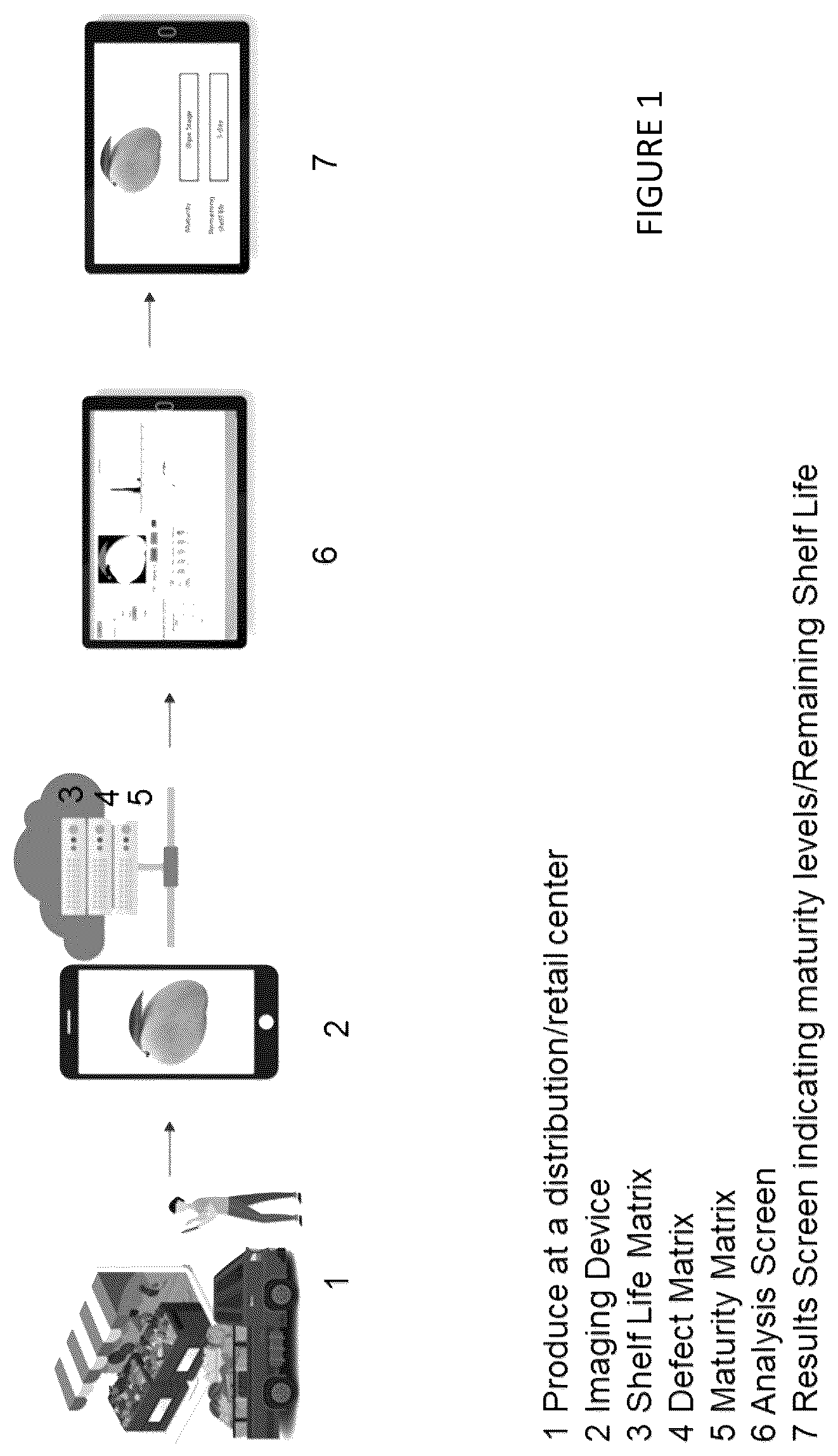 Patent US12614264 Figure 1 – Non-destructive method to predict shelf life and maturity of perishable commodities