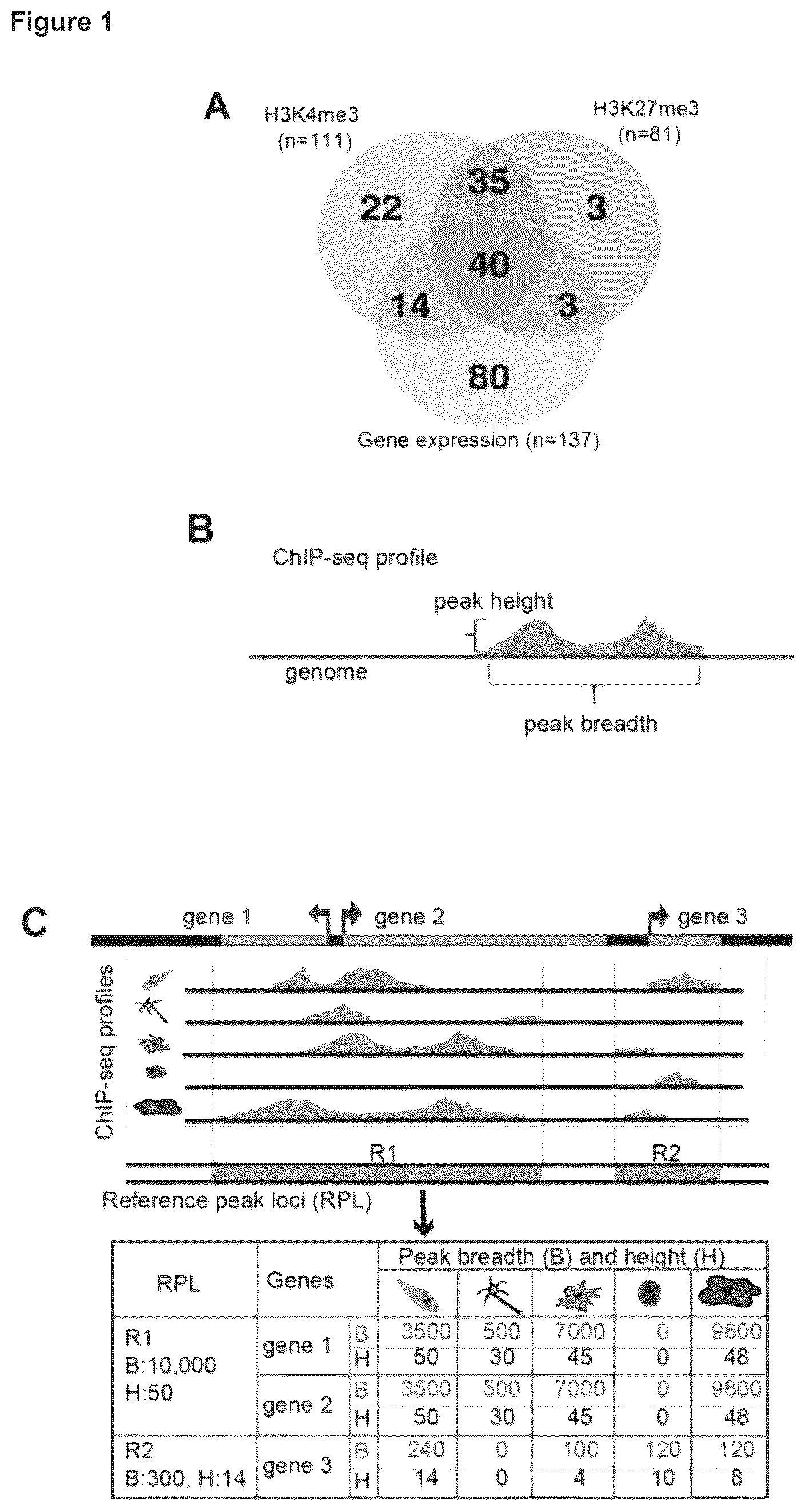Patent US12614607 — Cell culture methods and compositions — Figure 1