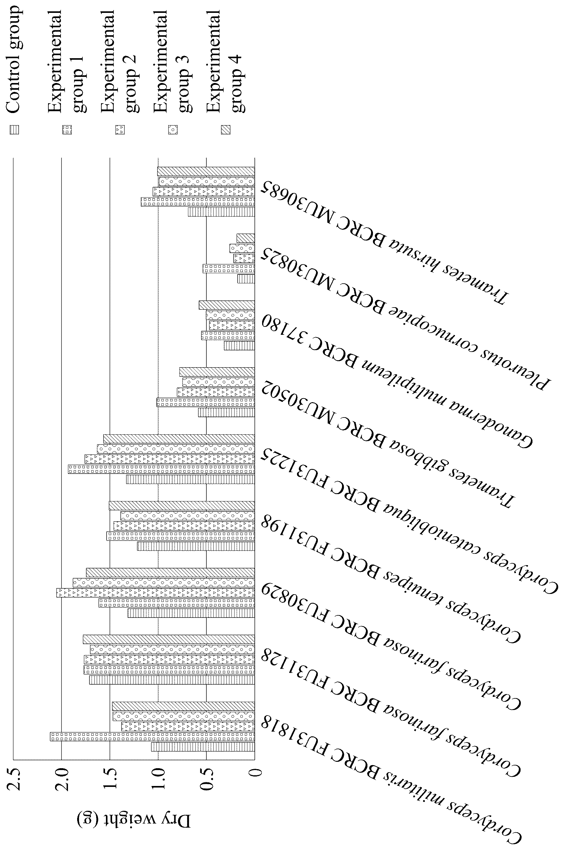 Patent US12616105 Figure 1 – Method for producing mycelial sheet