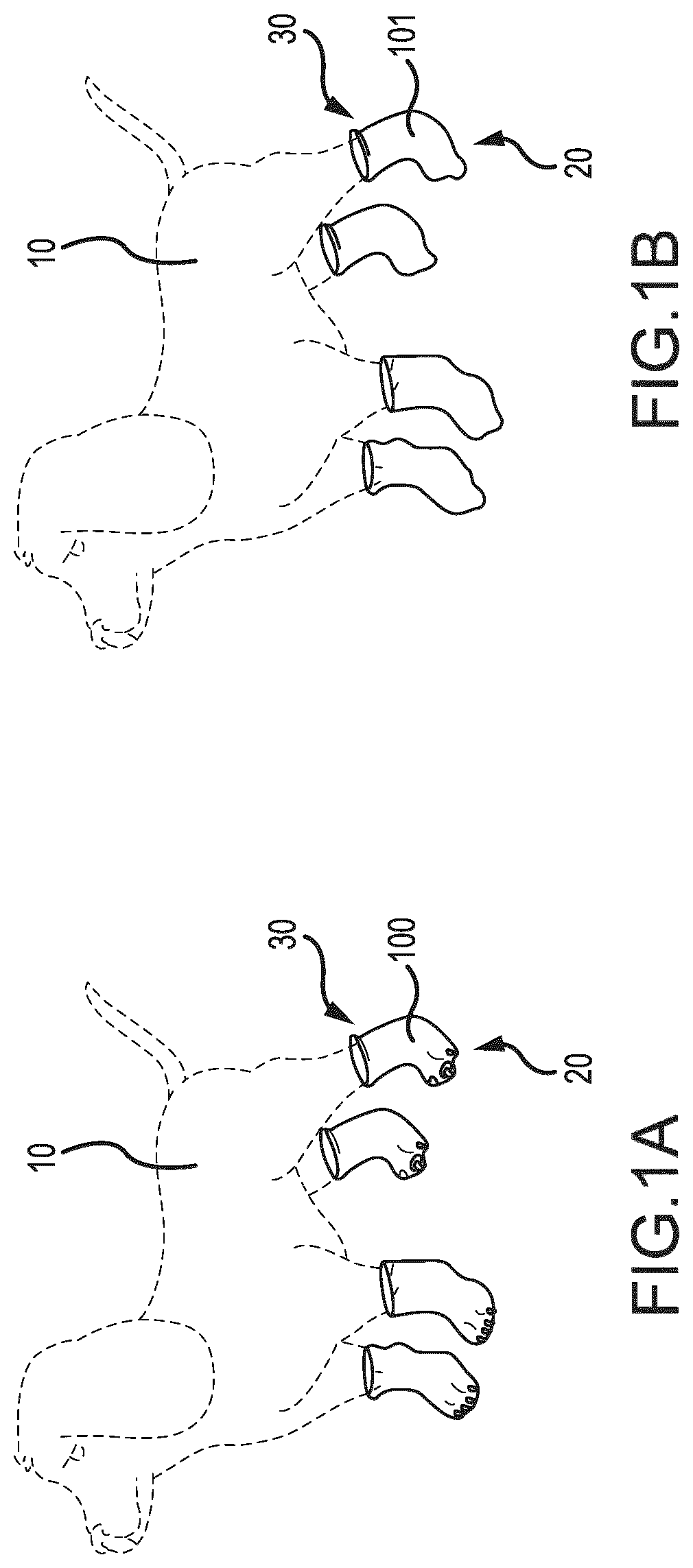 Patent US12616172 — Second skin paw protectors — Figure 1