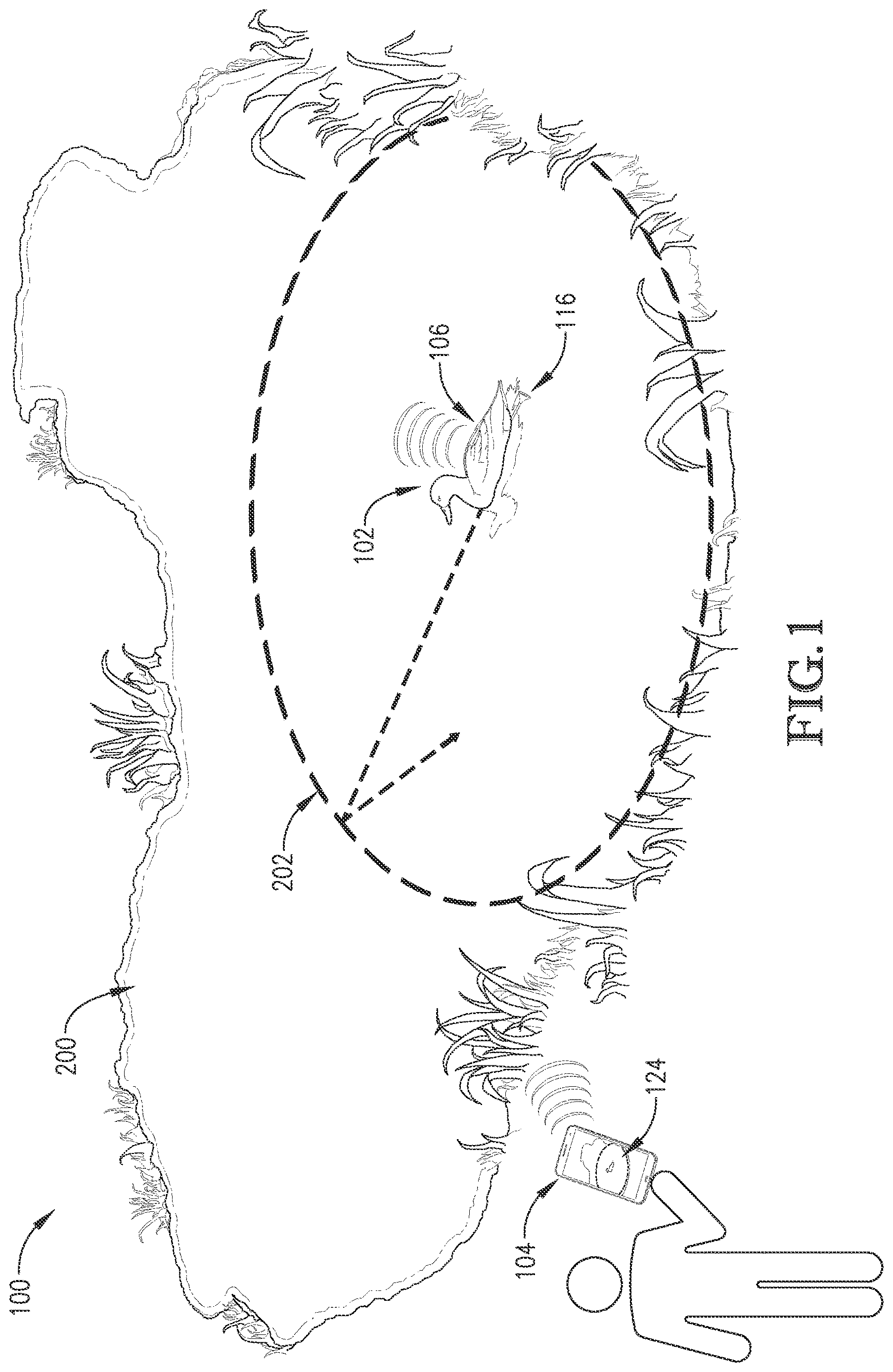 Patent US12616189 — Game decoy system — Figure 1