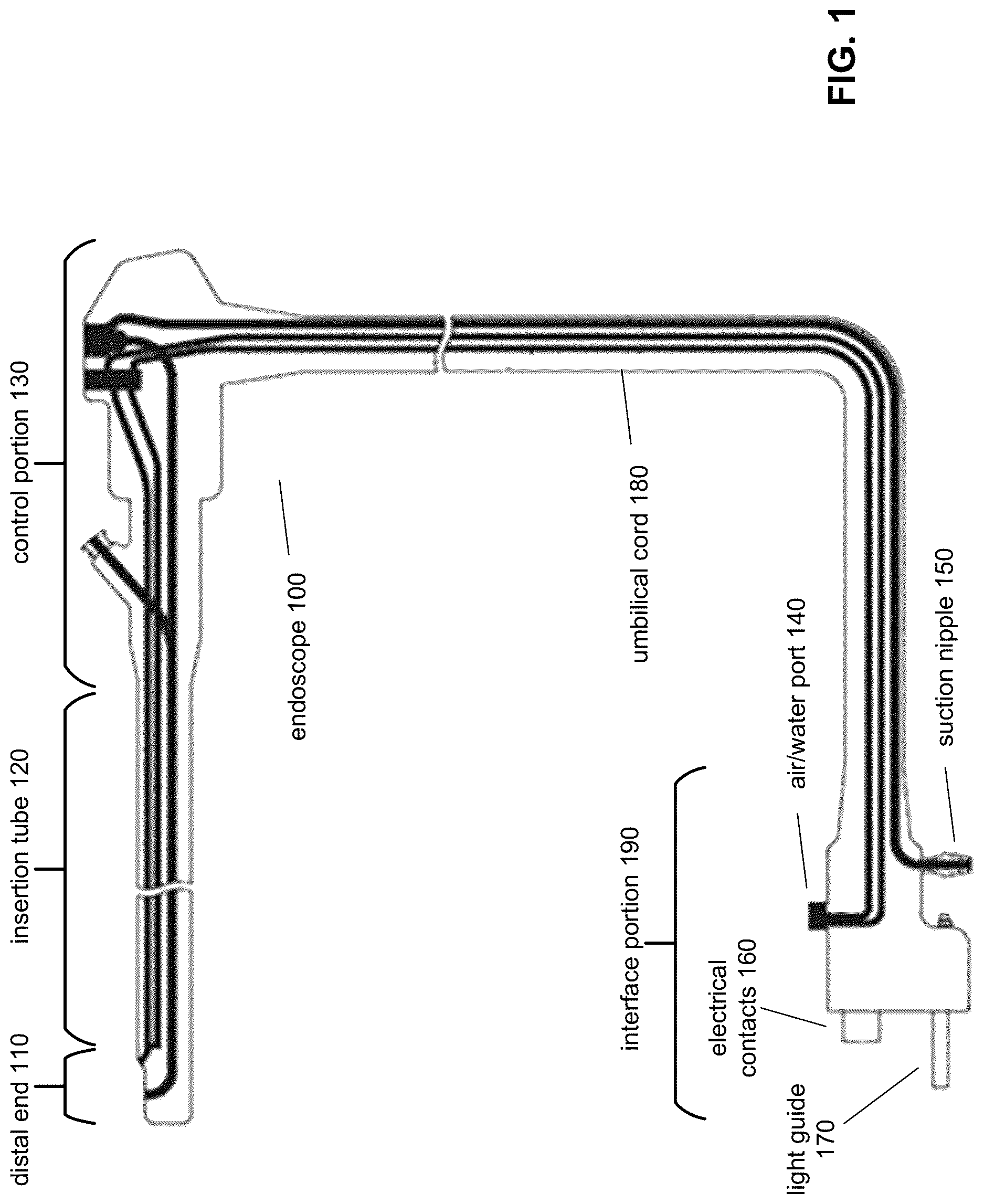Patent US12616205 — Silver-ion-impregnated channel for endoscope, endoscope including silver-ion-impregnated channel, and methods of cleaning and reprocessing such endoscope — Figure 1