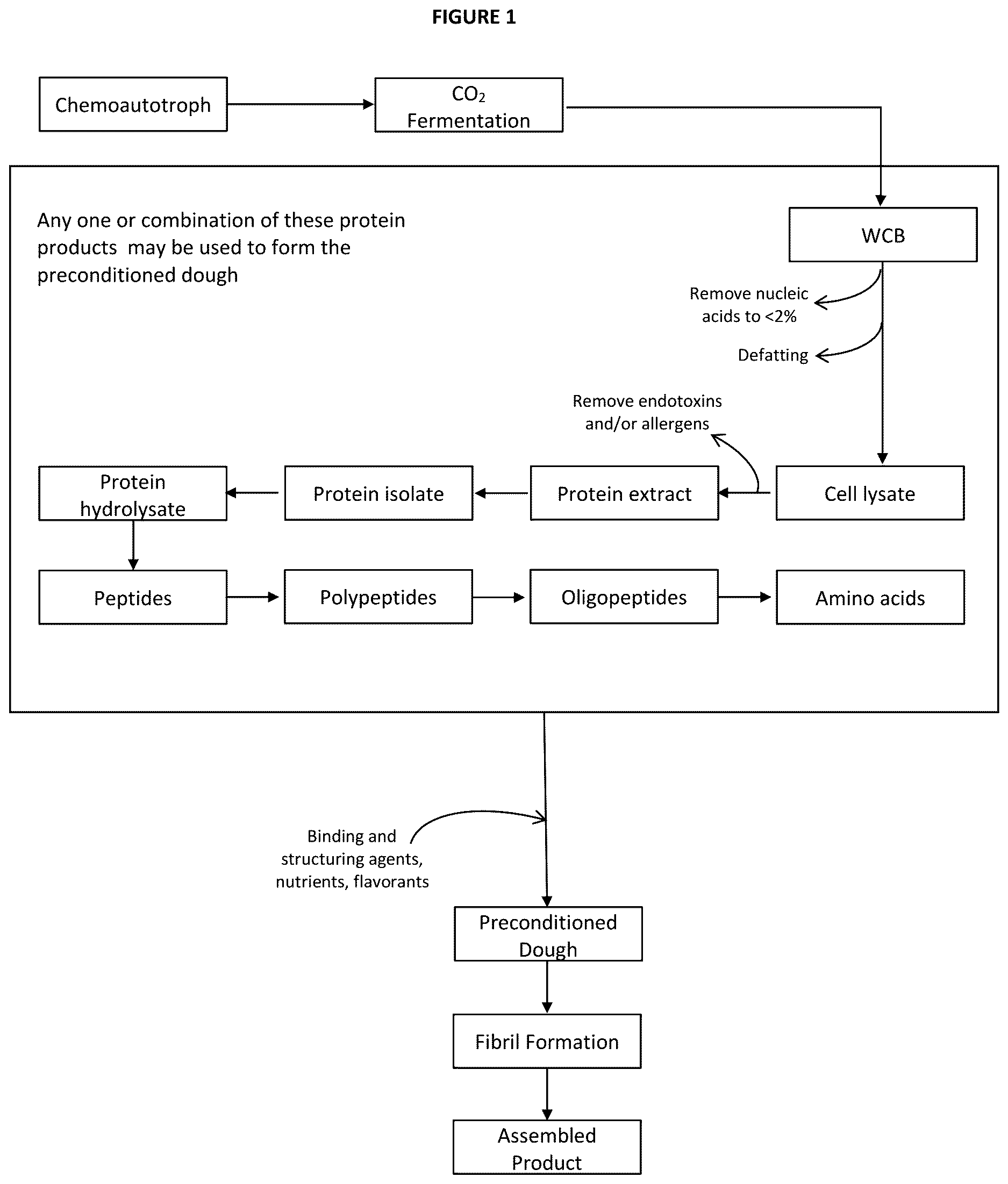 Patent US12616224 Figure 1 – Structured high-protein meat analogue compositions