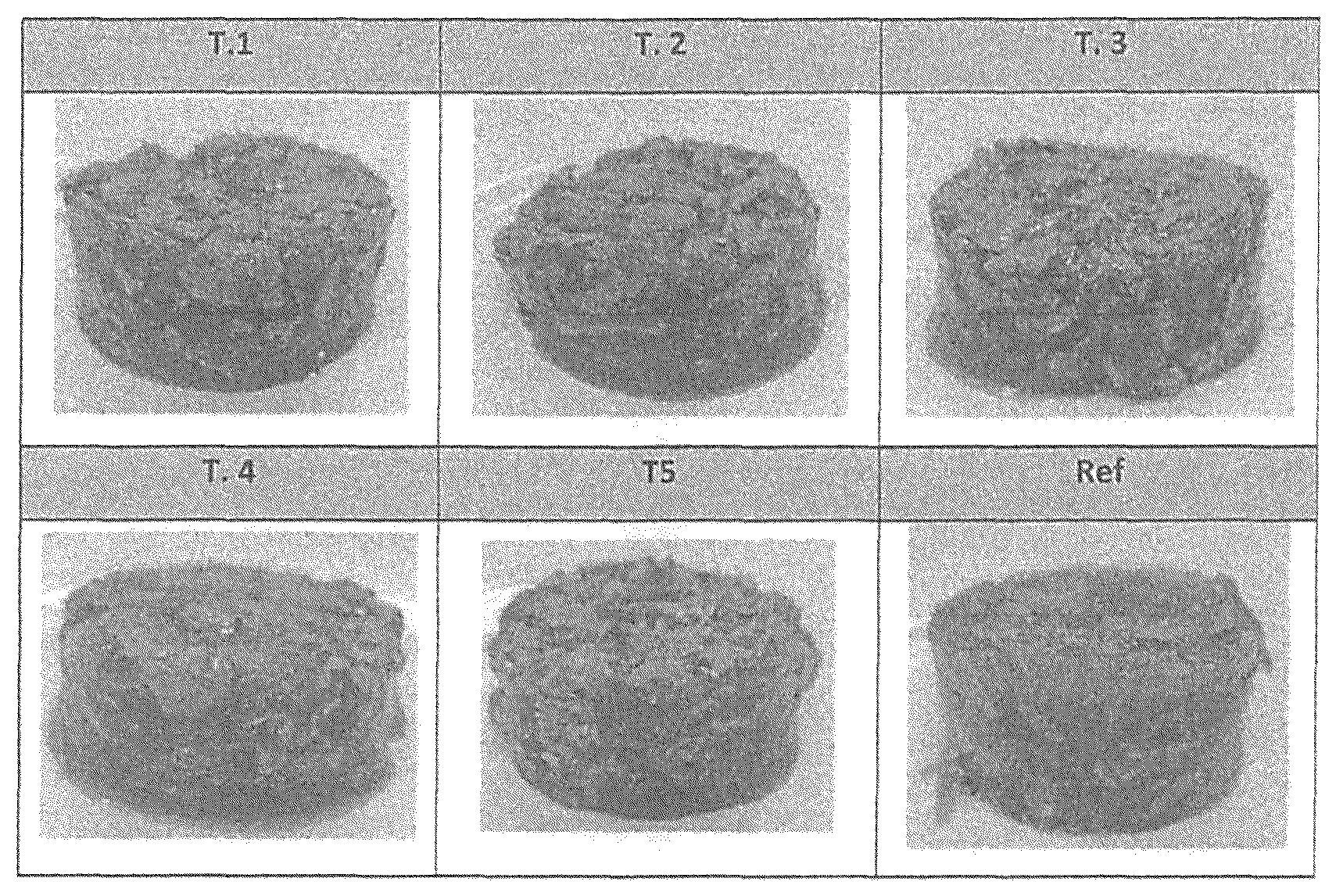 Patent US12616225 — Petfood composition and process for preparation thereof — Figure 1