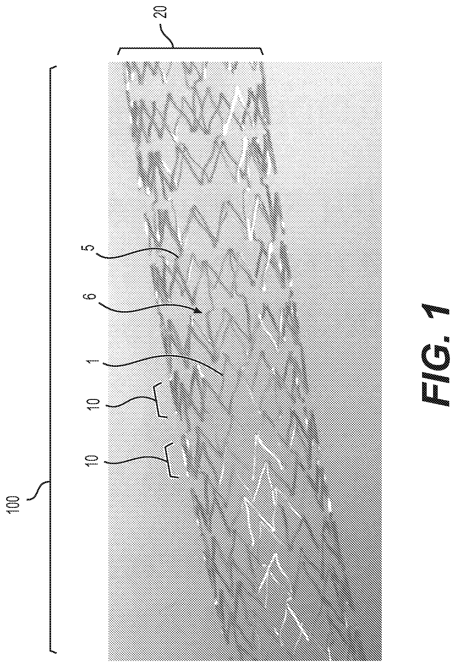 Patent US12616592 — Bidirectional stent and method of use thereof — Figure 1