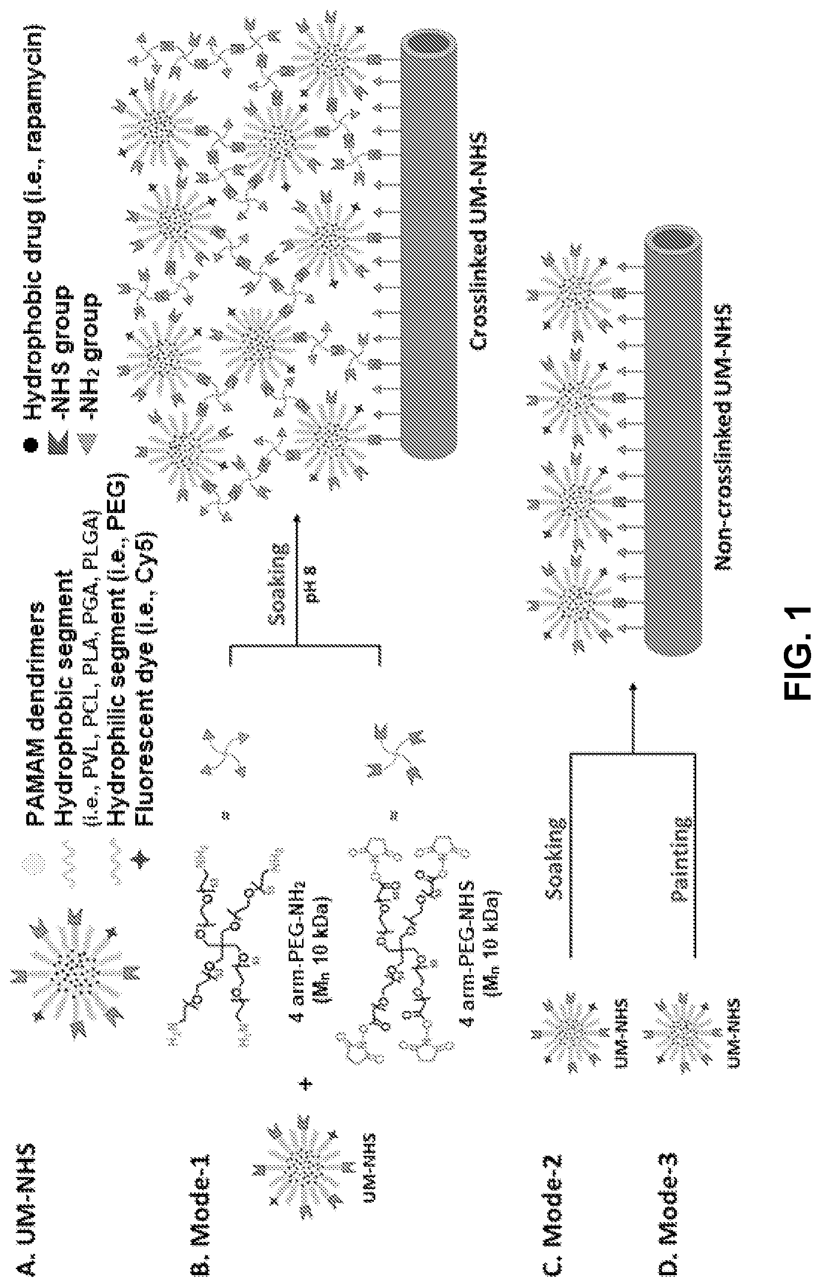Patent US12616656 Figure 1 – Adventitial painting modality of local drug delivery to abate intimal hyperplasia