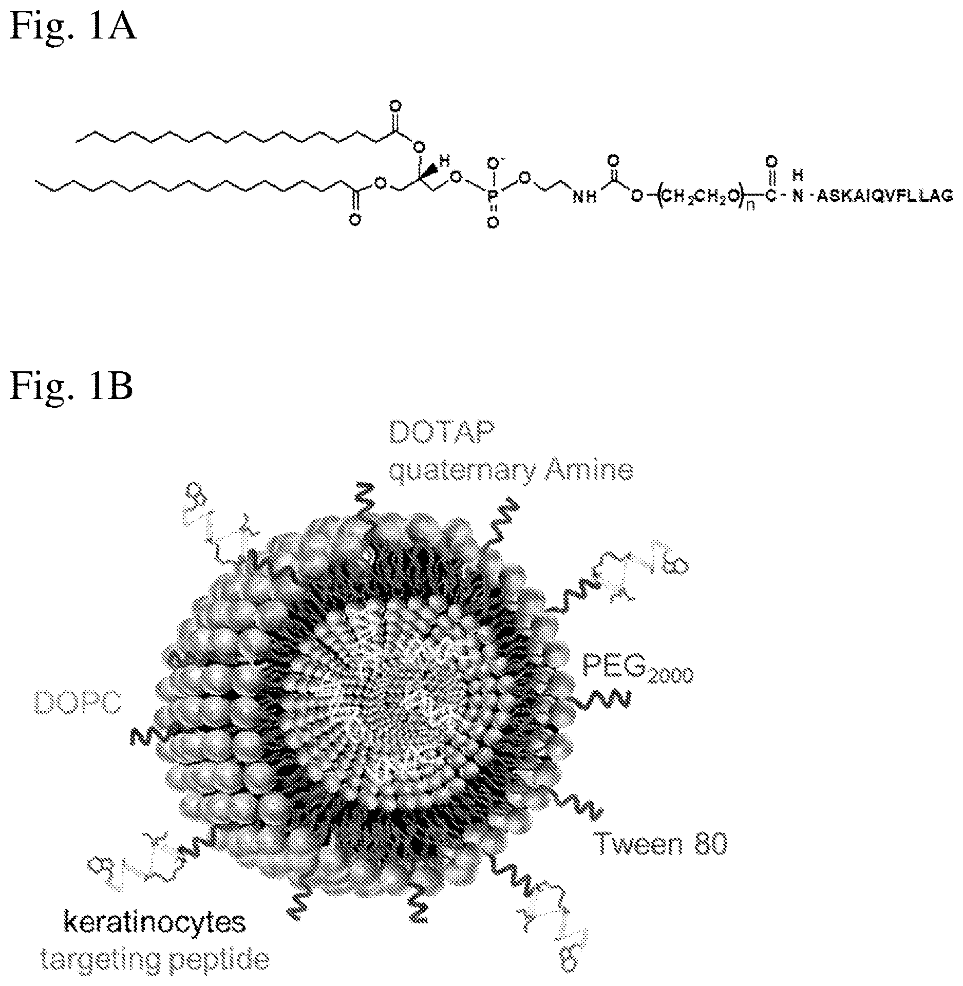 Patent US12616657 — Cell-targeted nanoparticles to inhibit RNA cargo — Figure 1
