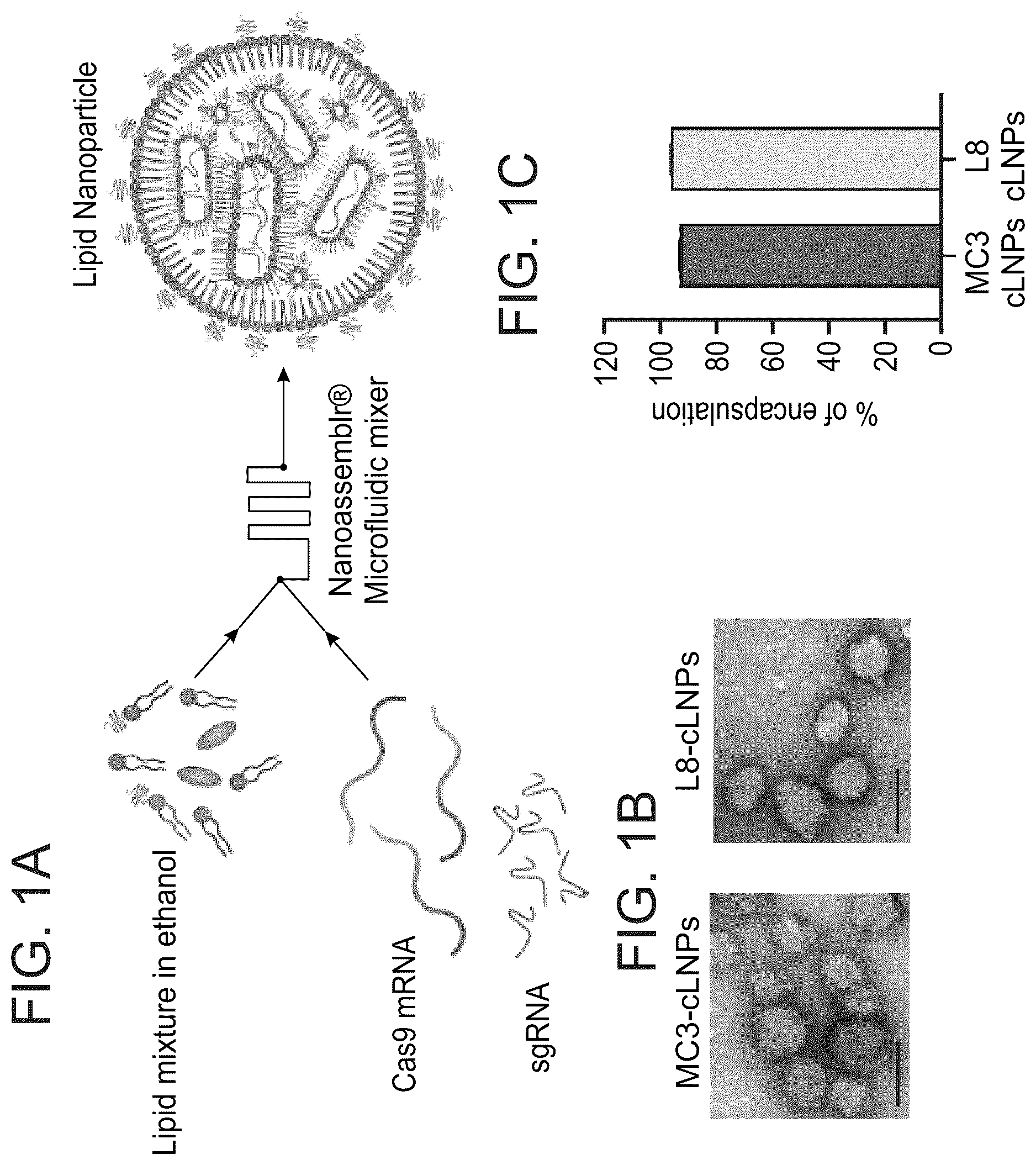 Patent US12616662 — Lipid particles for nucleic acid delivery and clinical applications of same — Figure 1