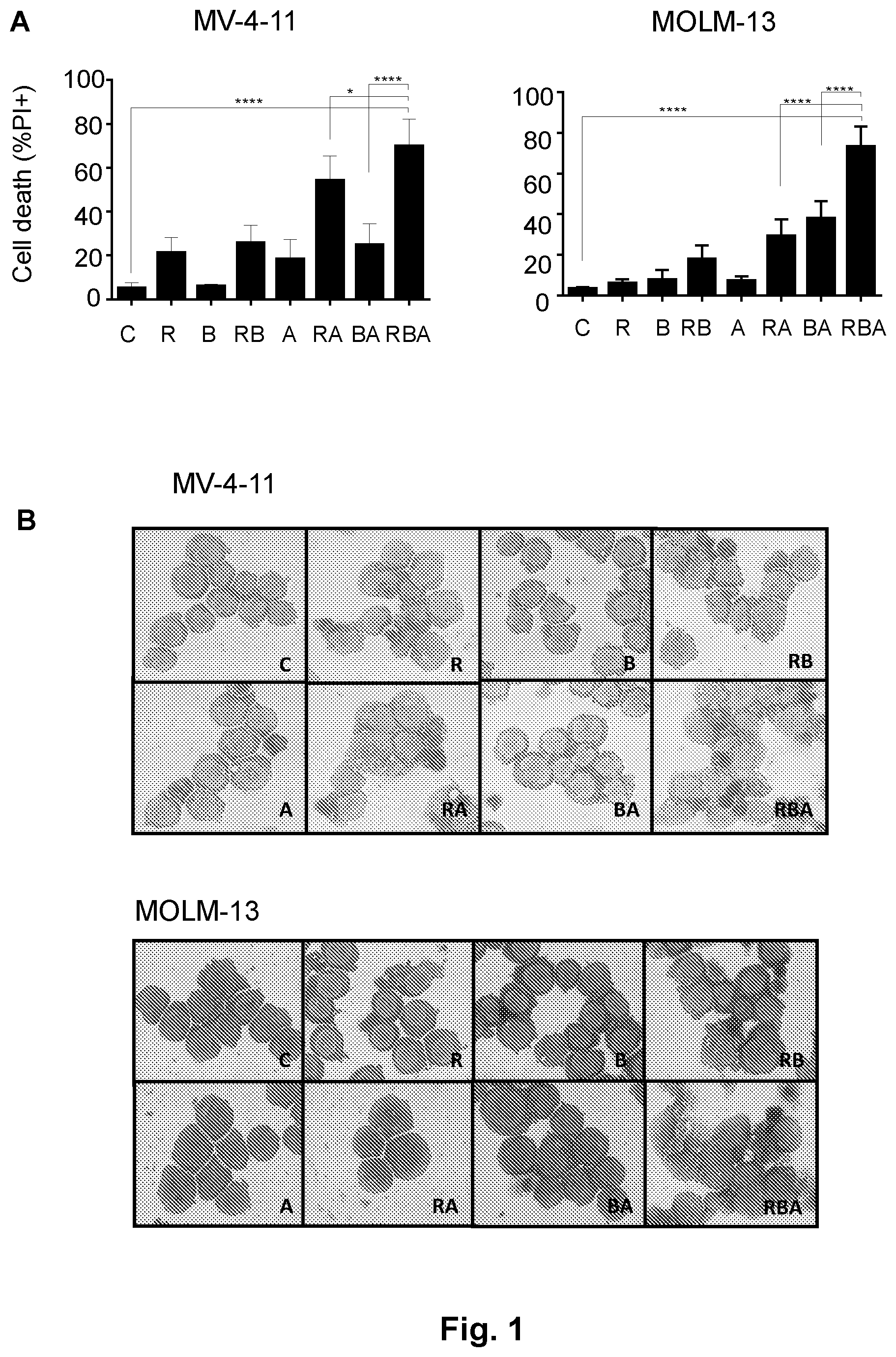 Patent US12616673 — Compounds for use in the treatment of leukemia — Figure 1