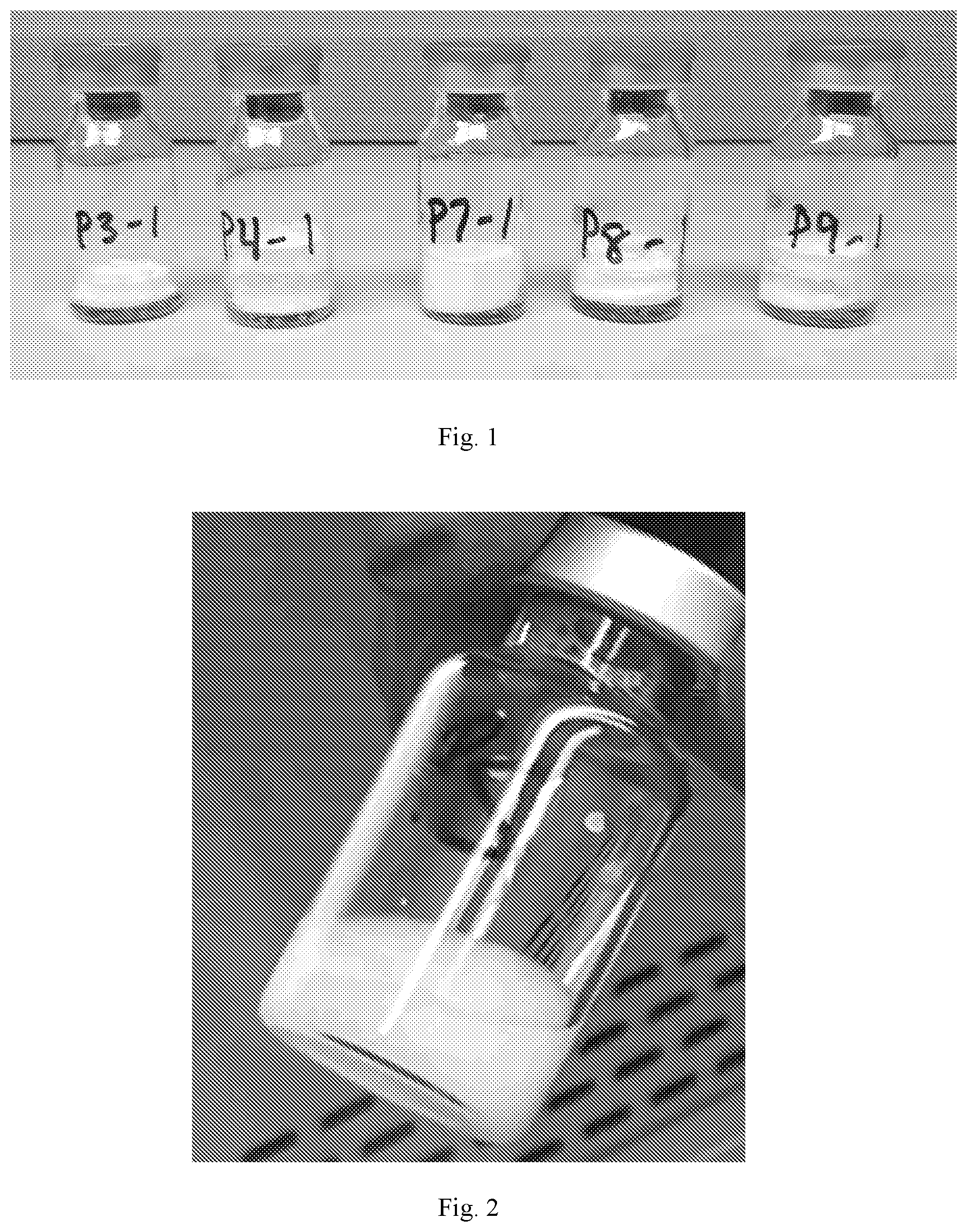 Patent US12616679 — Lyophilized composition comprising (s)-isopropyl 2-((s)-2-acetamido-3-(1H-indol-3-yl)propanamido)-6-diazo-5-oxohexanoate for subcutaneous administration and the use thereof — Figure 1