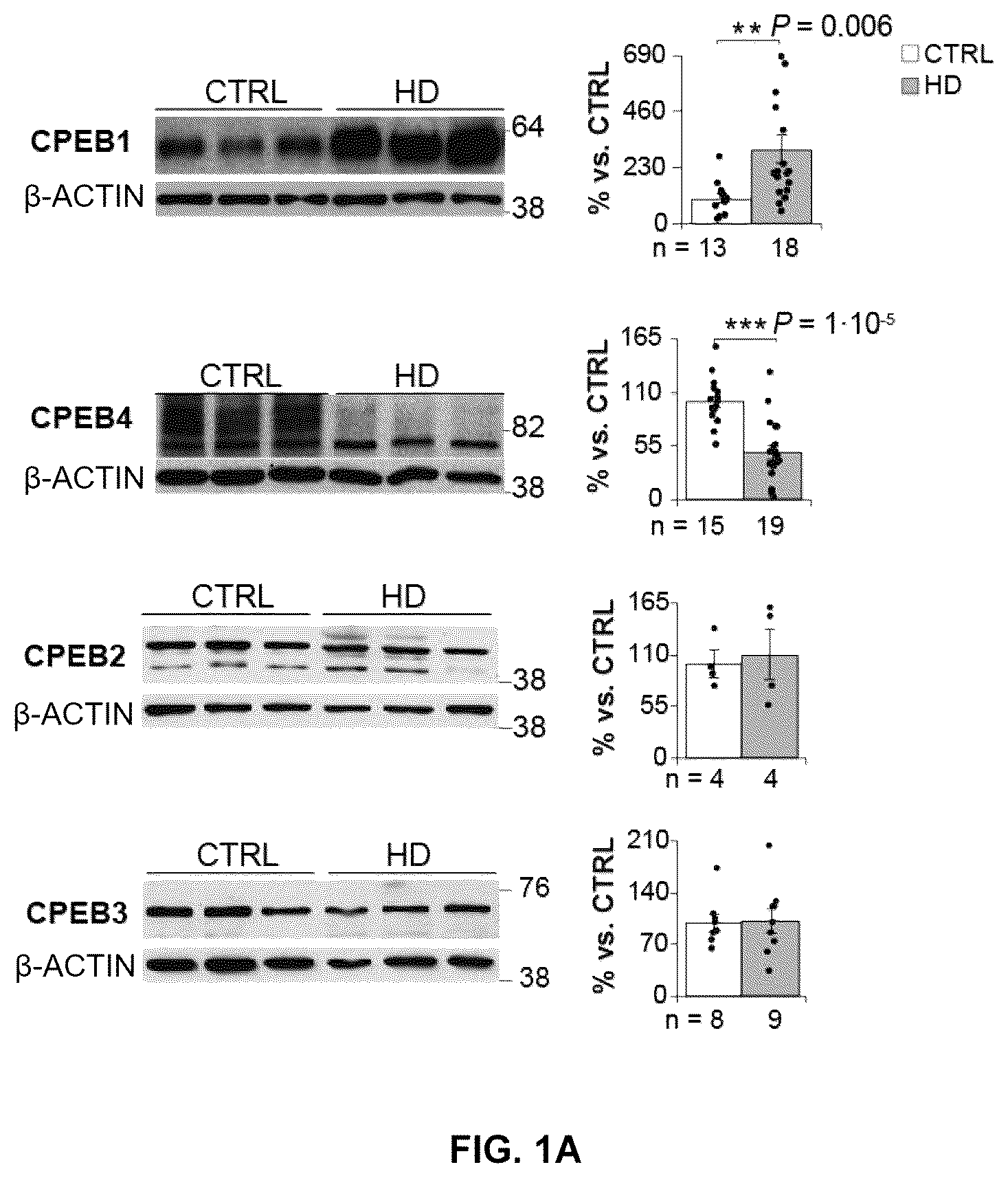 Patent US12616680 — Combined use of biotin and thiamine in the treatment of huntington's disease — Figure 1