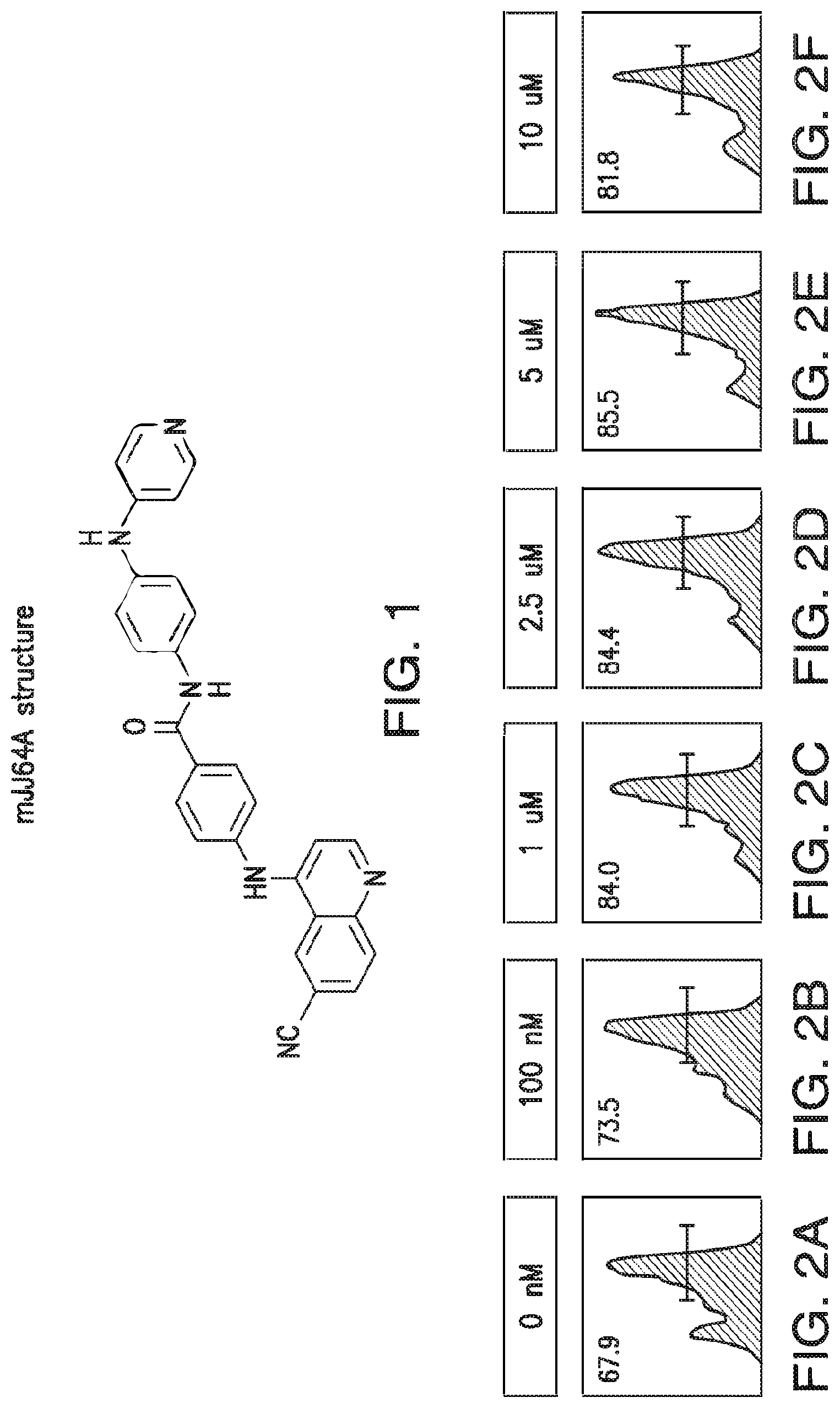Patent US12616690 — Specific AKT3 activator and uses thereof — Figure 1