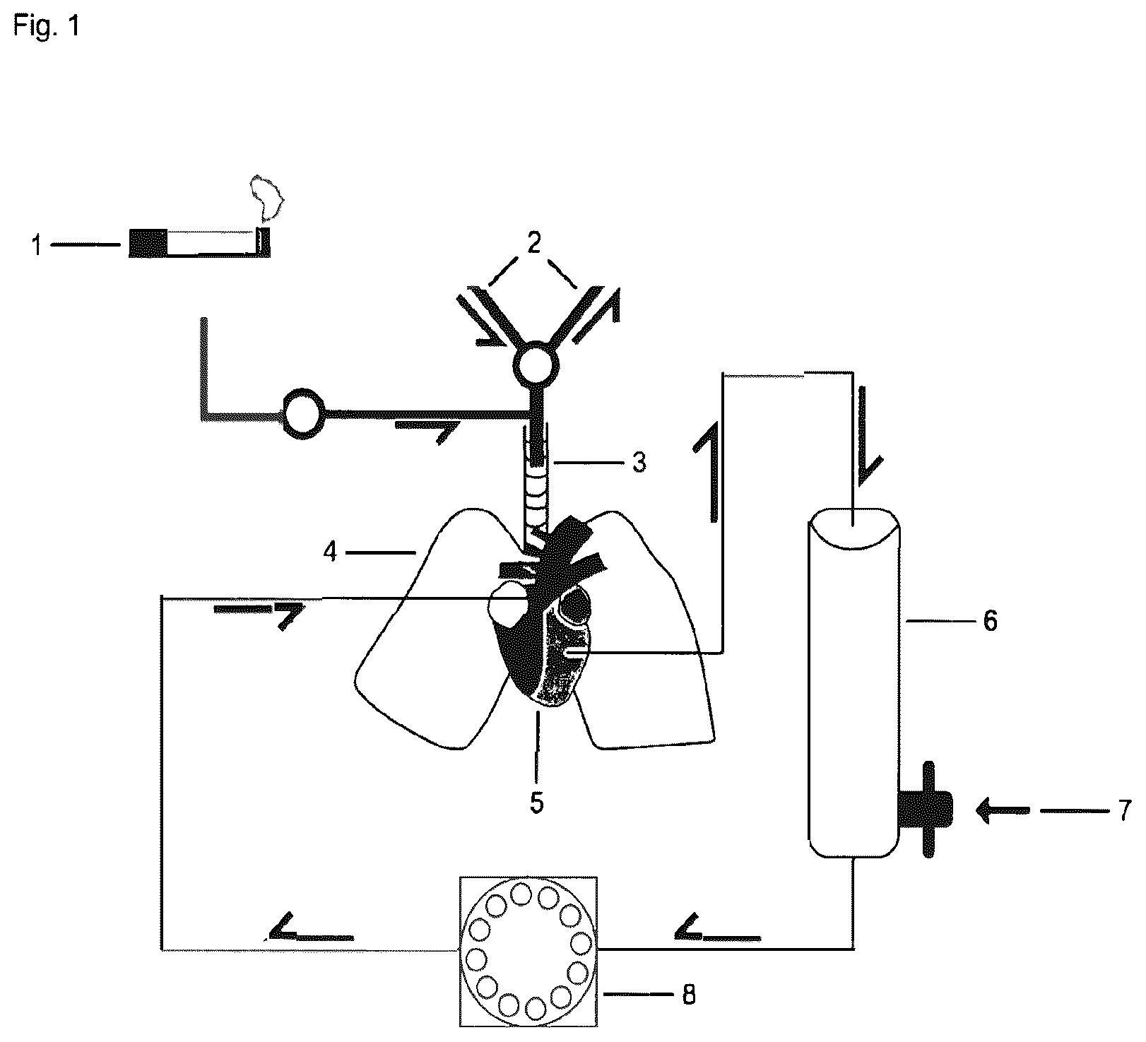 Patent US12616695 — Use of 5-amino-2,3-dihydro-1,4-phthalazinedione in the treatment of rare chronic inflammatory pulmonary diseases — Figure 1