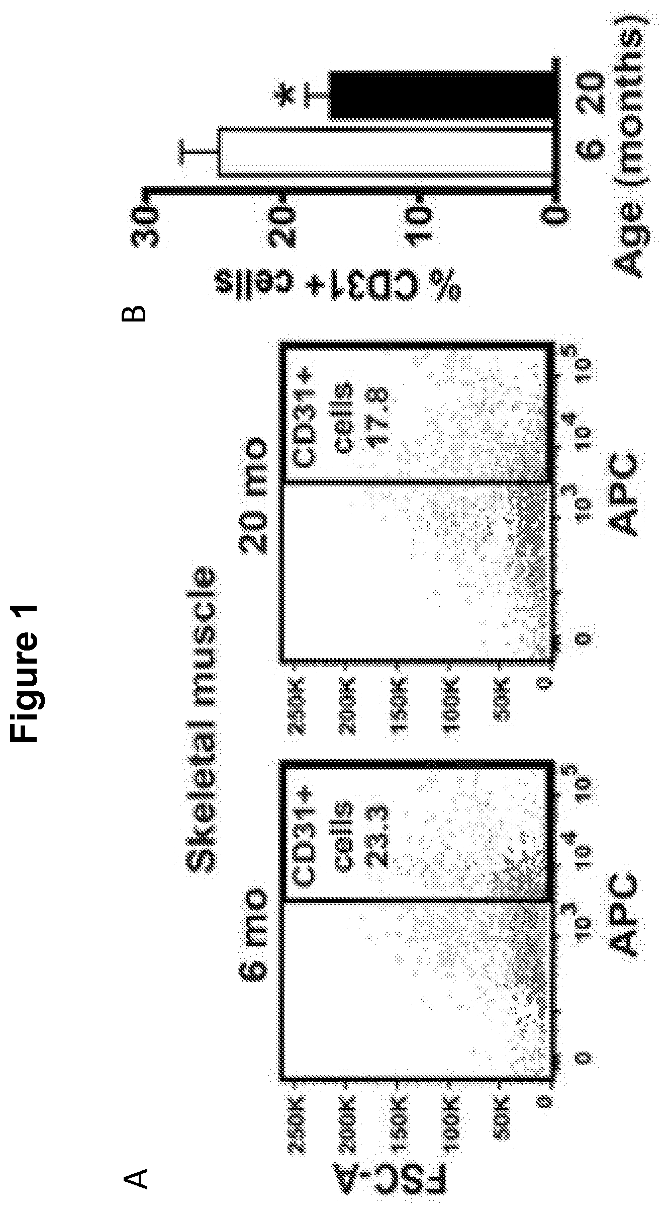 Patent US12616713 Figure 1 – Methods for enhancing vascular density