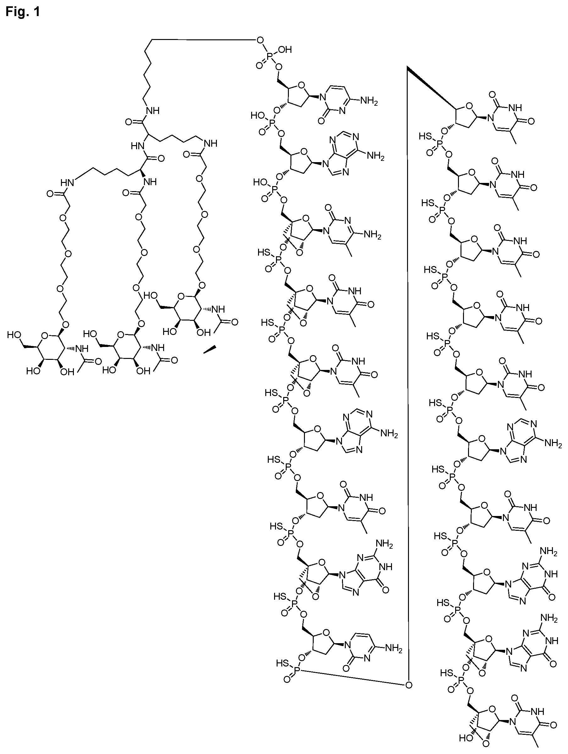 Patent US12616714 Figure 1 – Enhanced oligonucleotides for modulating FUBP1 expression