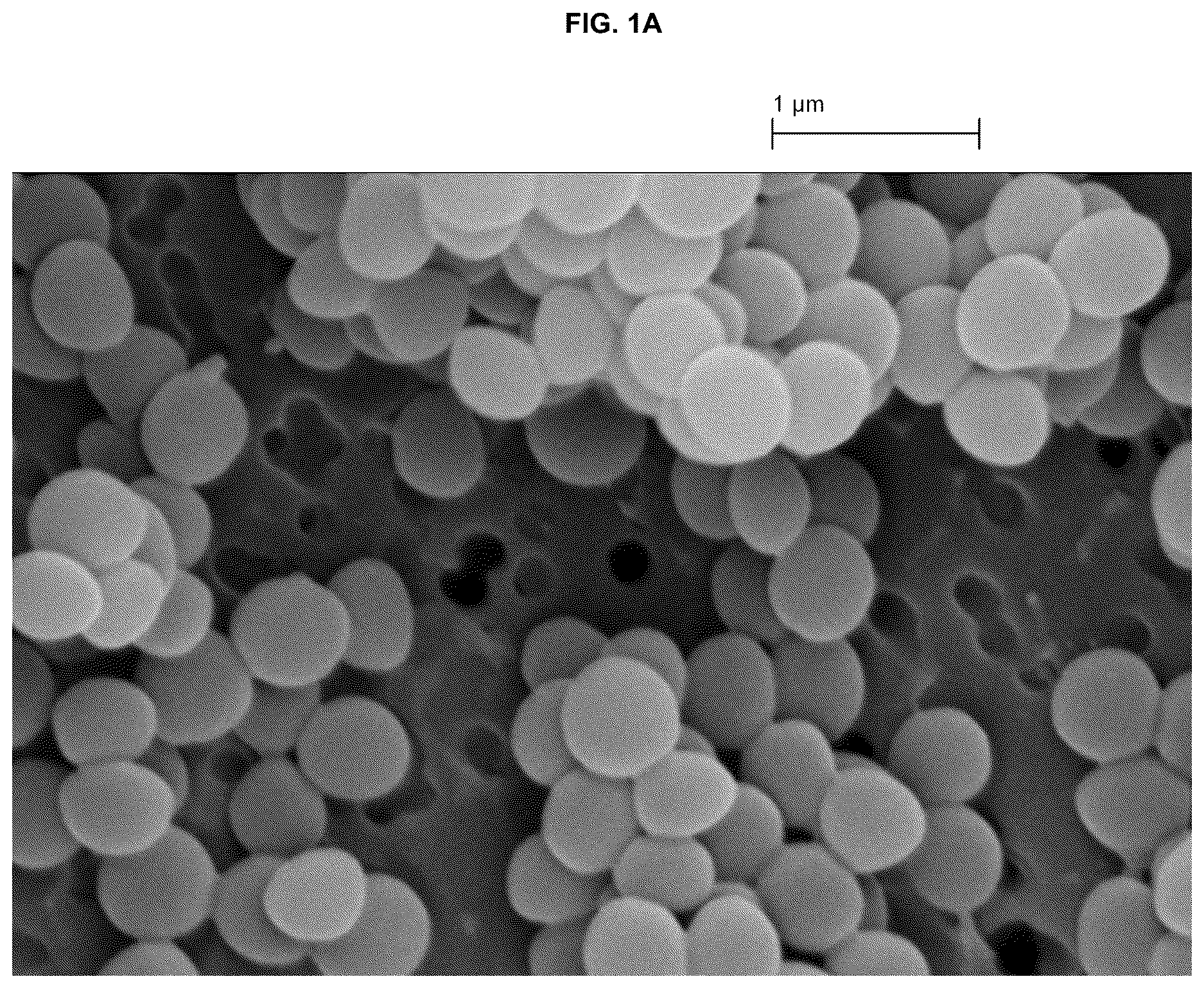 Patent US12616716 Figure 1 – Wound healing dressings and formulations and methods of use thereof
