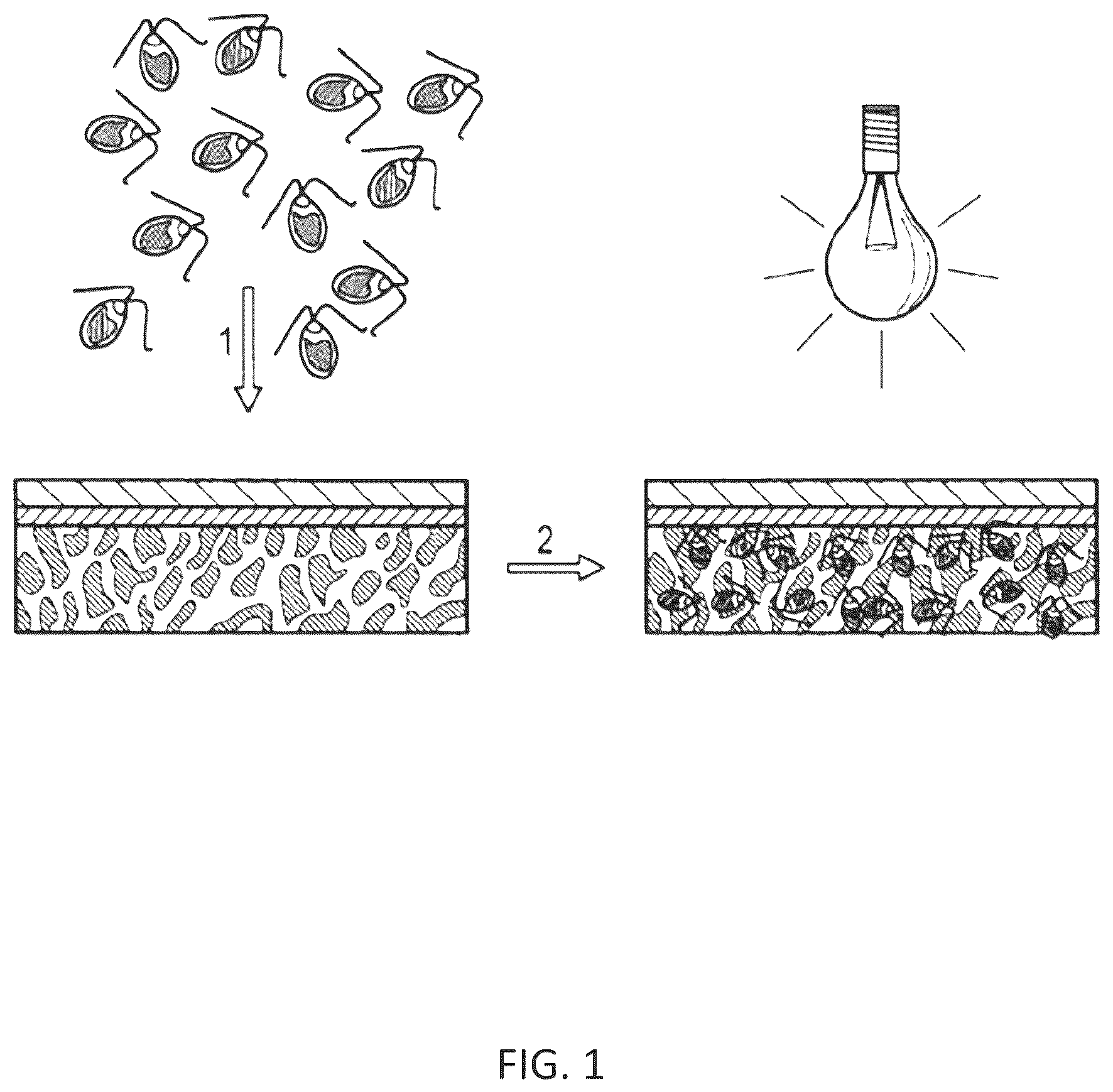 Patent US12616718 — Photosynthetic cellular substances and methods of use thereof — Figure 1