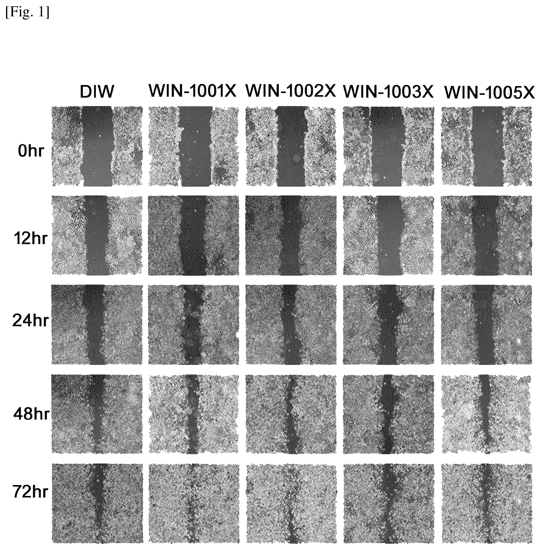 Patent US12616730 — Topical composition comprising an extract of combined herbs comprising longanae arillus for the treatment or alleviation of skin ulcer and the use thereof — Figure 1