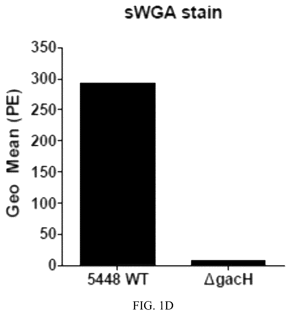 Patent US12616743 Figure 2 – Streptococcal GlcNAc-lacking glycopolypeptides, cell wall carbohydrates, streptococcus vaccines, and methods for making and using them