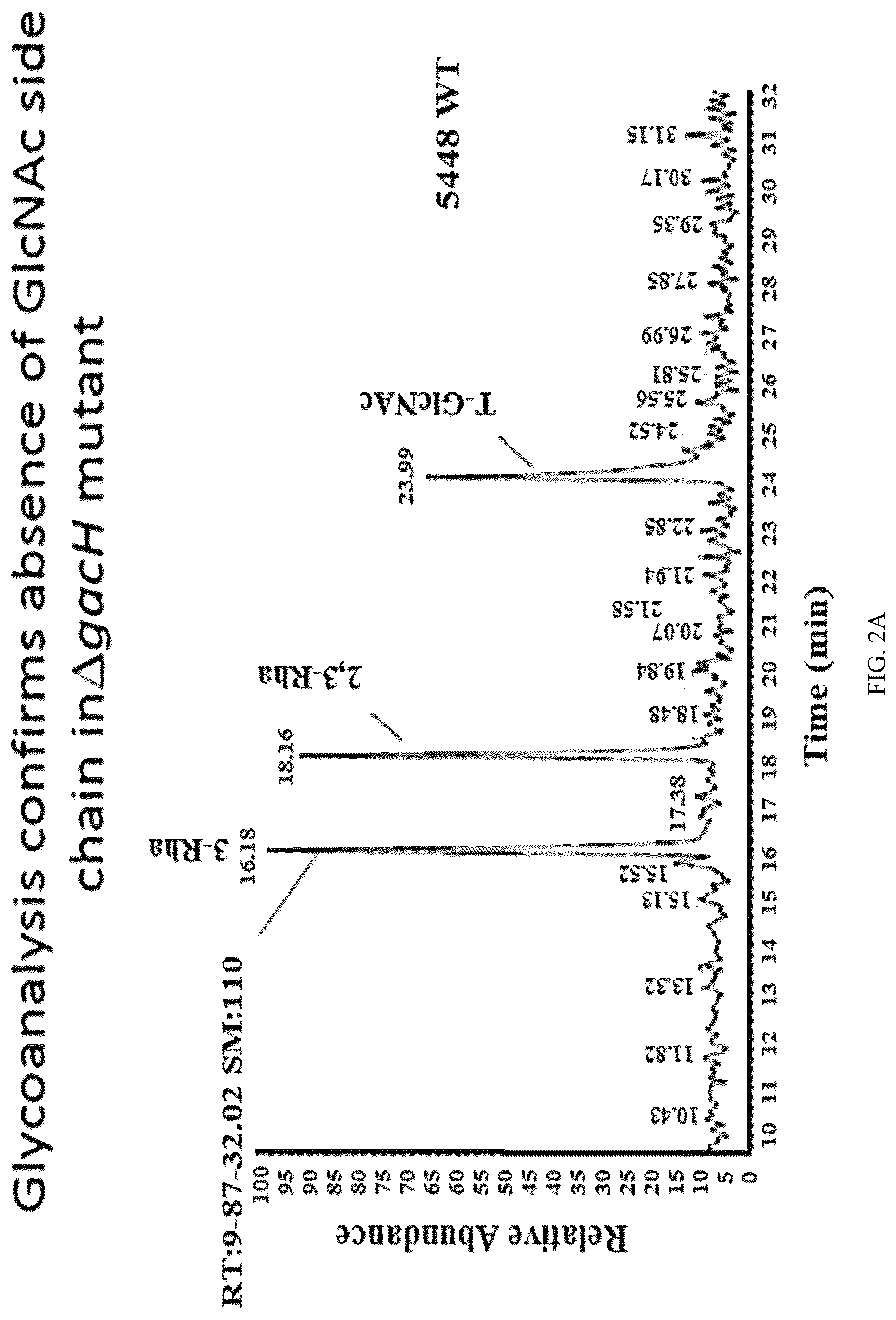 Patent US12616743 Figure 3 – Streptococcal GlcNAc-lacking glycopolypeptides, cell wall carbohydrates, streptococcus vaccines, and methods for making and using them