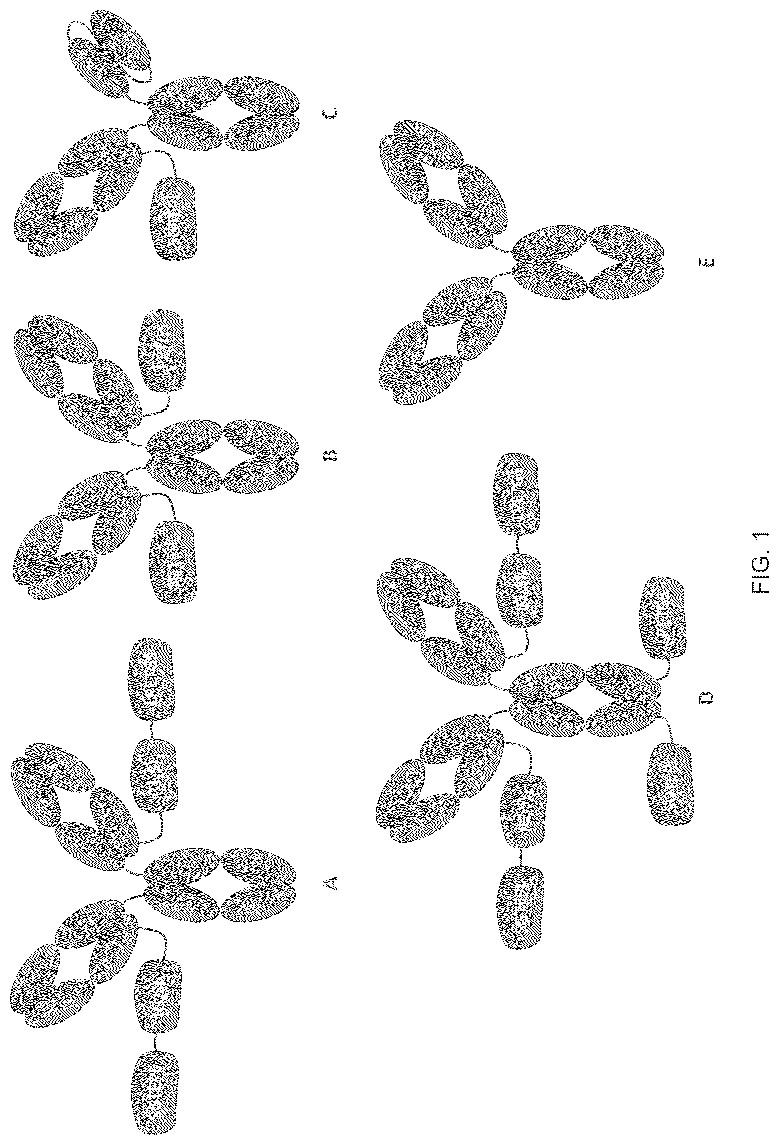 Patent US12616750 — Combination therapy utilizing DNA alkylating agents and ATR inhibitors — Figure 1