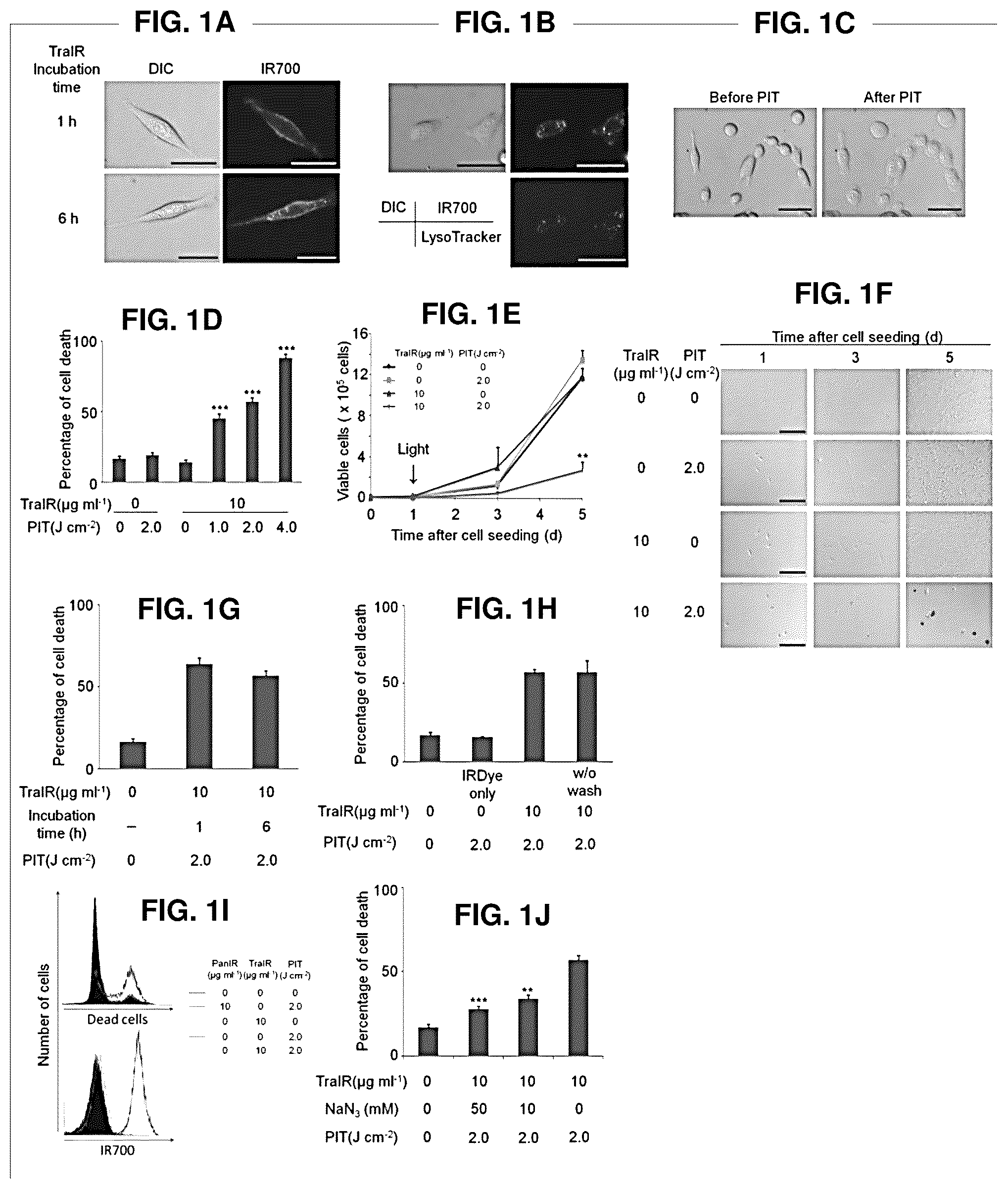Patent US12616751 — Photosensitizing antibody-fluorophore conjugates — Figure 1