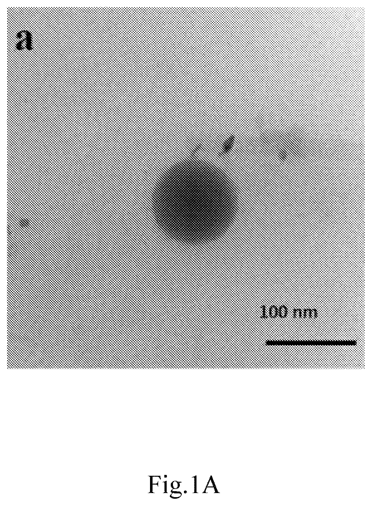 Patent US12616754 — Composition for delivery of a bioactive agent and method of manufacture and use thereof — Figure 1