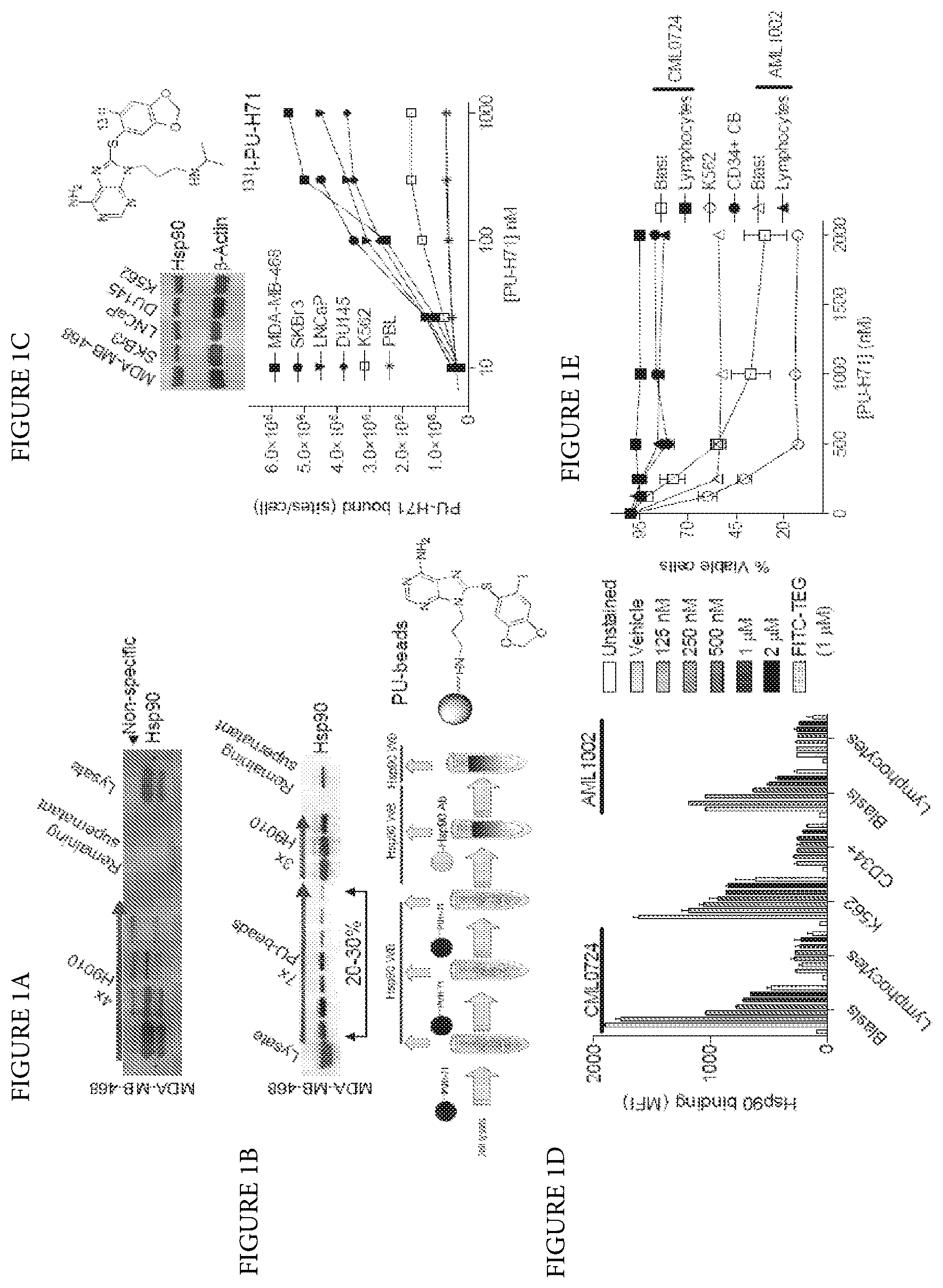 Patent US12616759 — Uses of labeled HSP90 inhibitors — Figure 1
