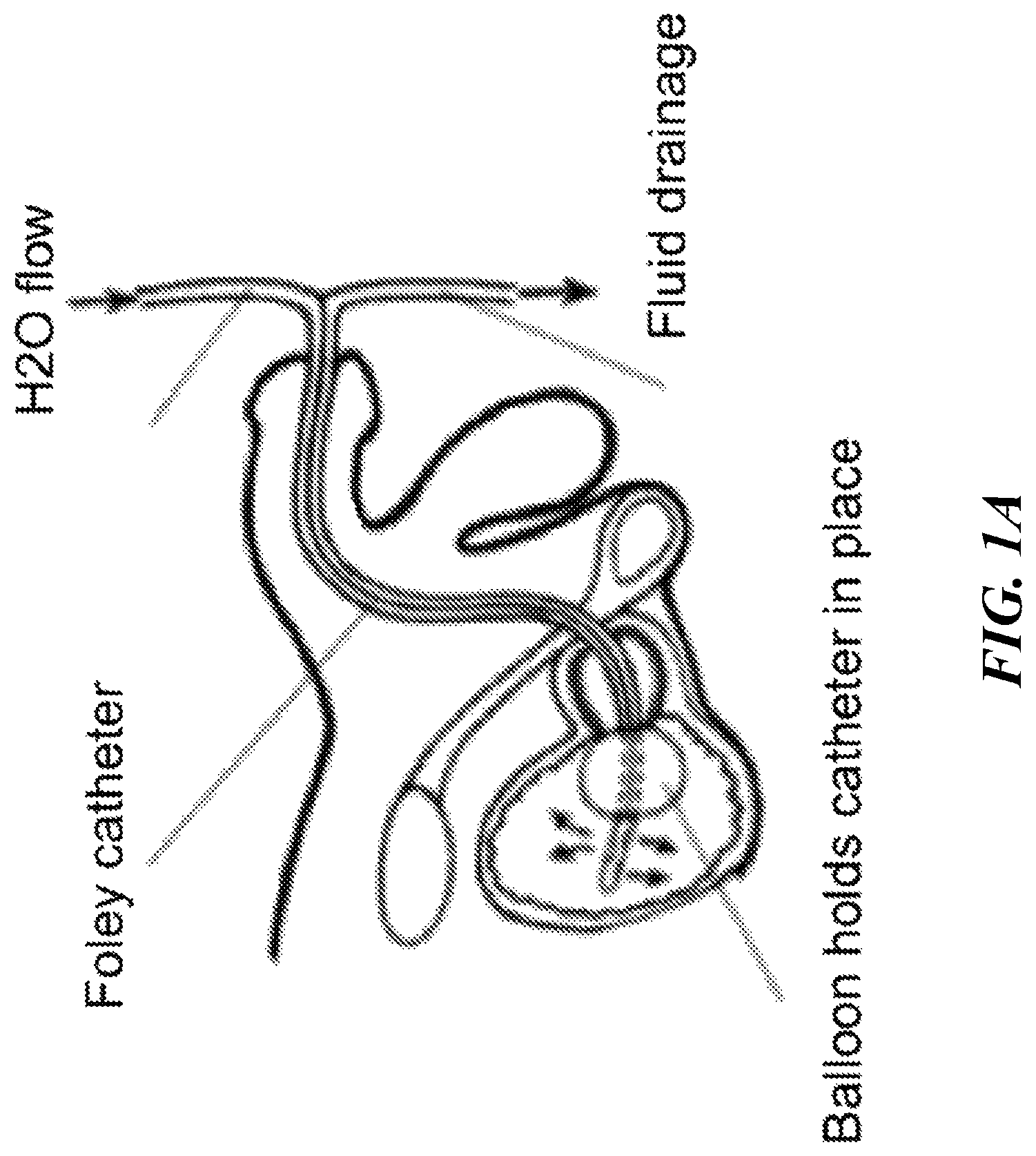 Patent US12616771 — Tissue adherent chitosan material that resists dissolution — Figure 1