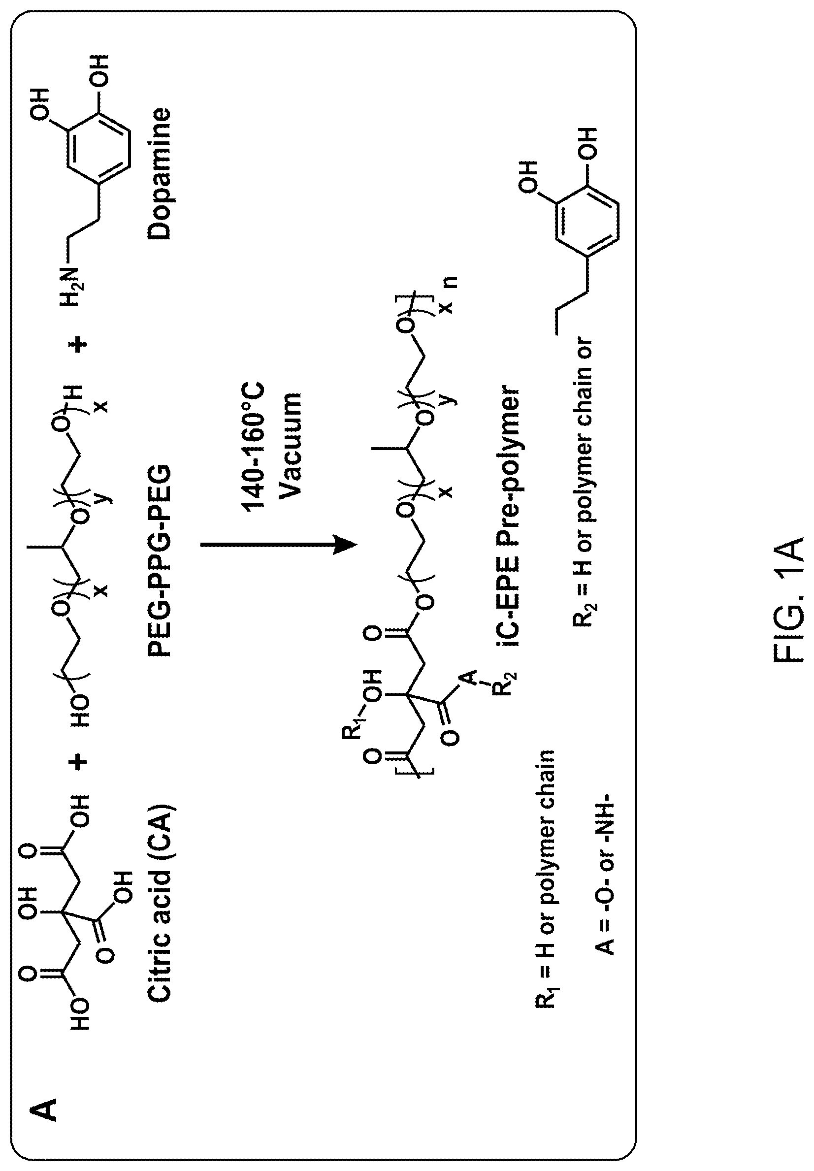 Patent US12616773 Figure 1 – Bioadhesive compositions and methods of making the same