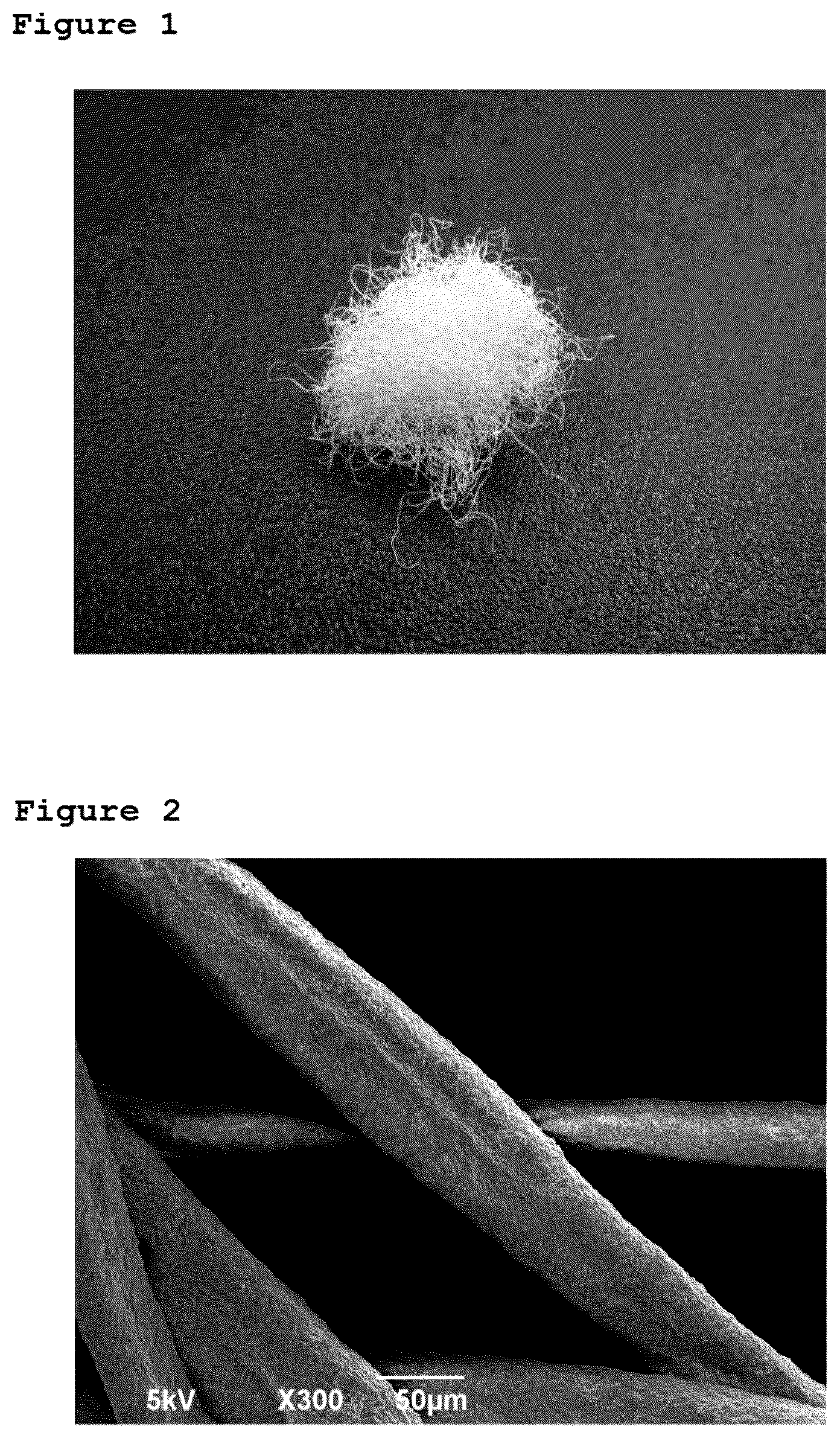 Patent US12616775 — Method for manufacturing bone-regeneration material comprising biodegradable fibers by using electrospinning method — Figure 1
