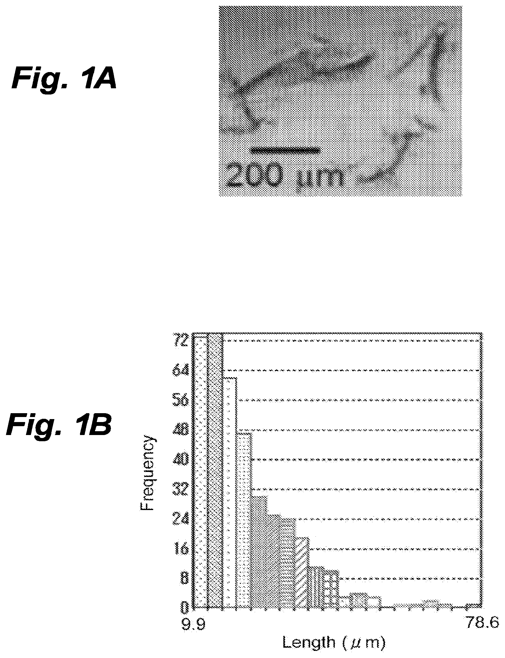 Patent US12616776 — Three-dimensional tissue body, method for producing same, and formation agent for three-dimensional tissue body — Figure 1
