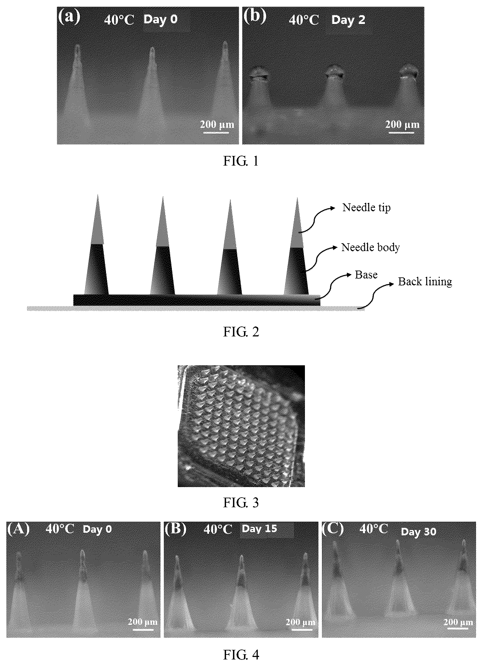Patent US12616824 — Heat-resistant implantable polymer microneedle and preparation method therefor and application thereof — Figure 1
