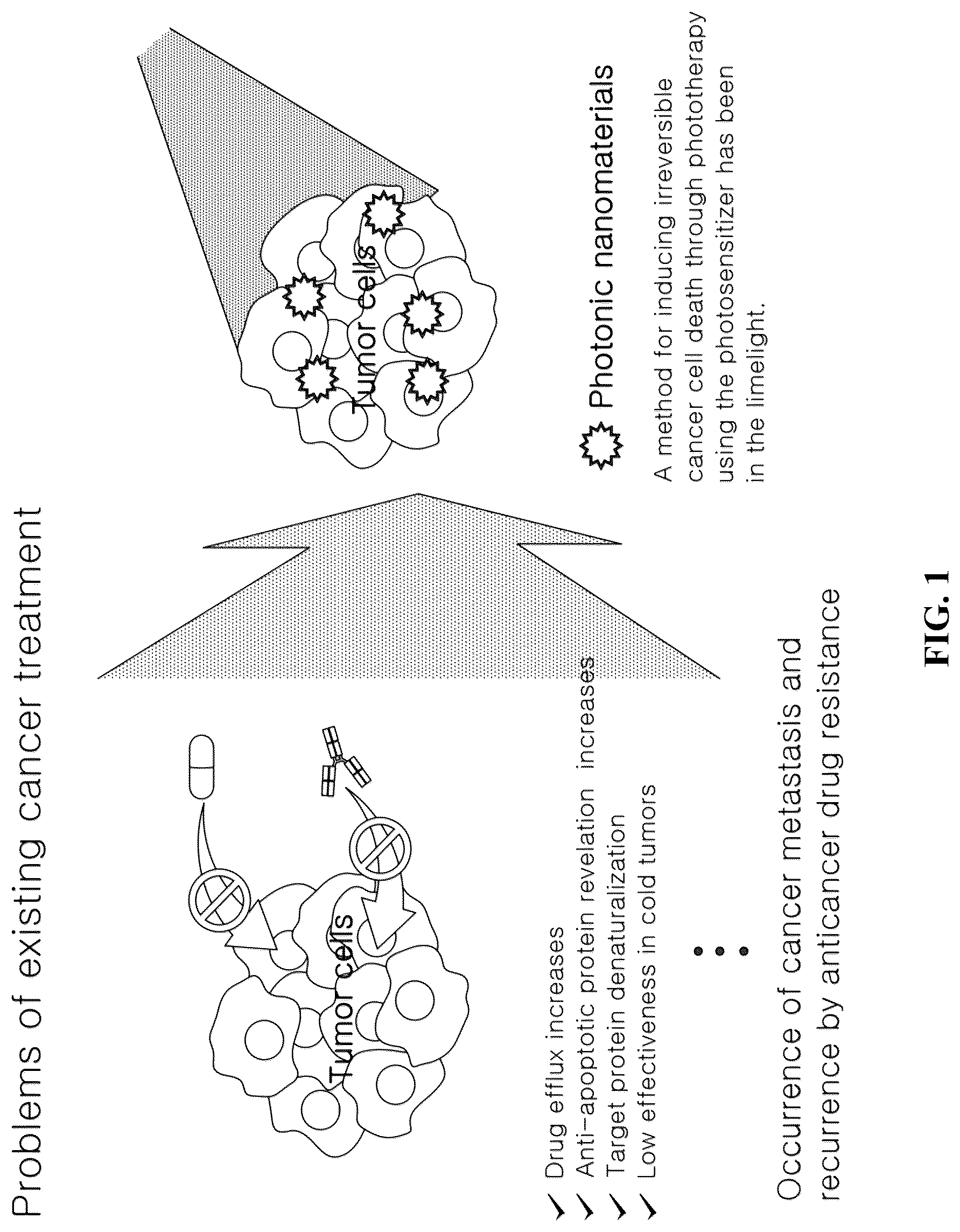 Patent US12616847 — Photodynamic therapy and microwave therapy fusion system — Figure 1