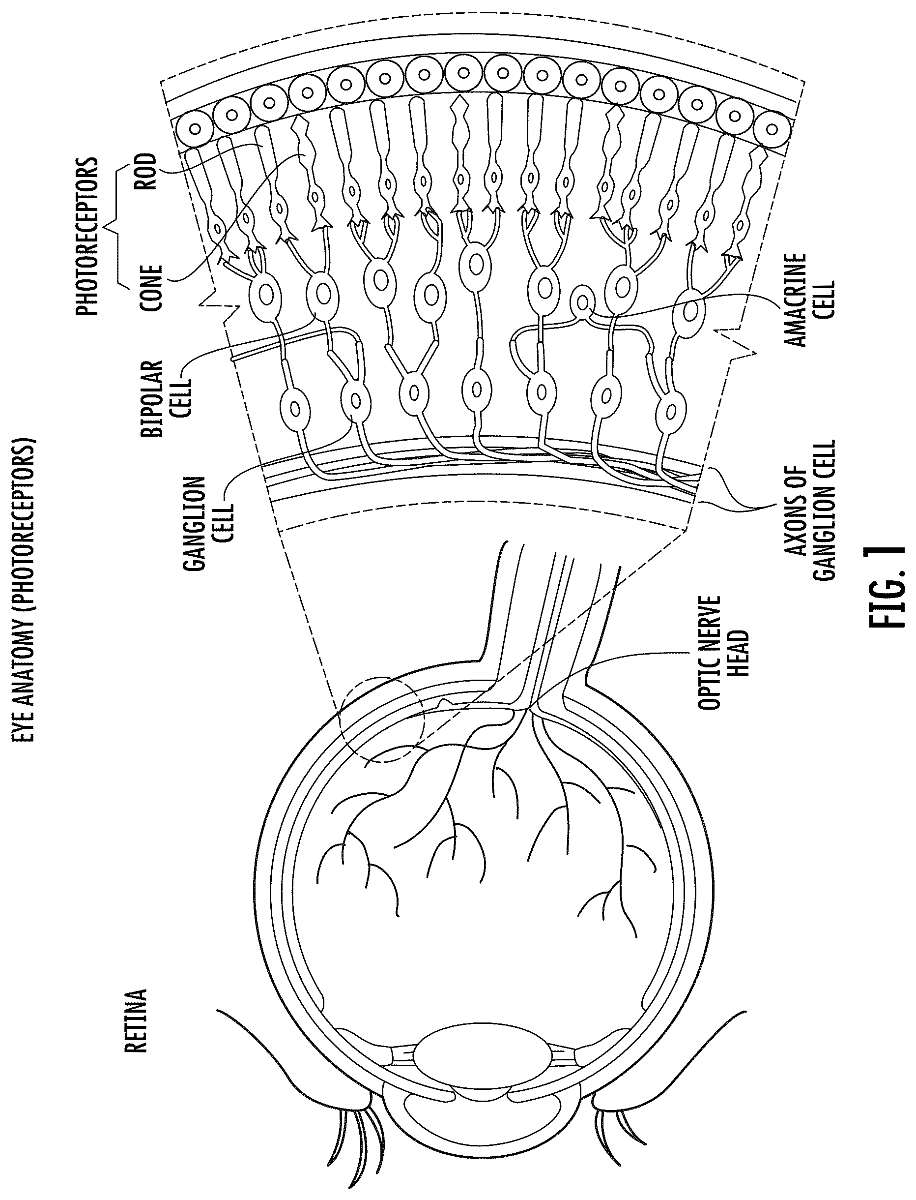 Patent US12616849 — Sunglass lens and sunglass optics for ocular photo-bio-stimulation — Figure 1