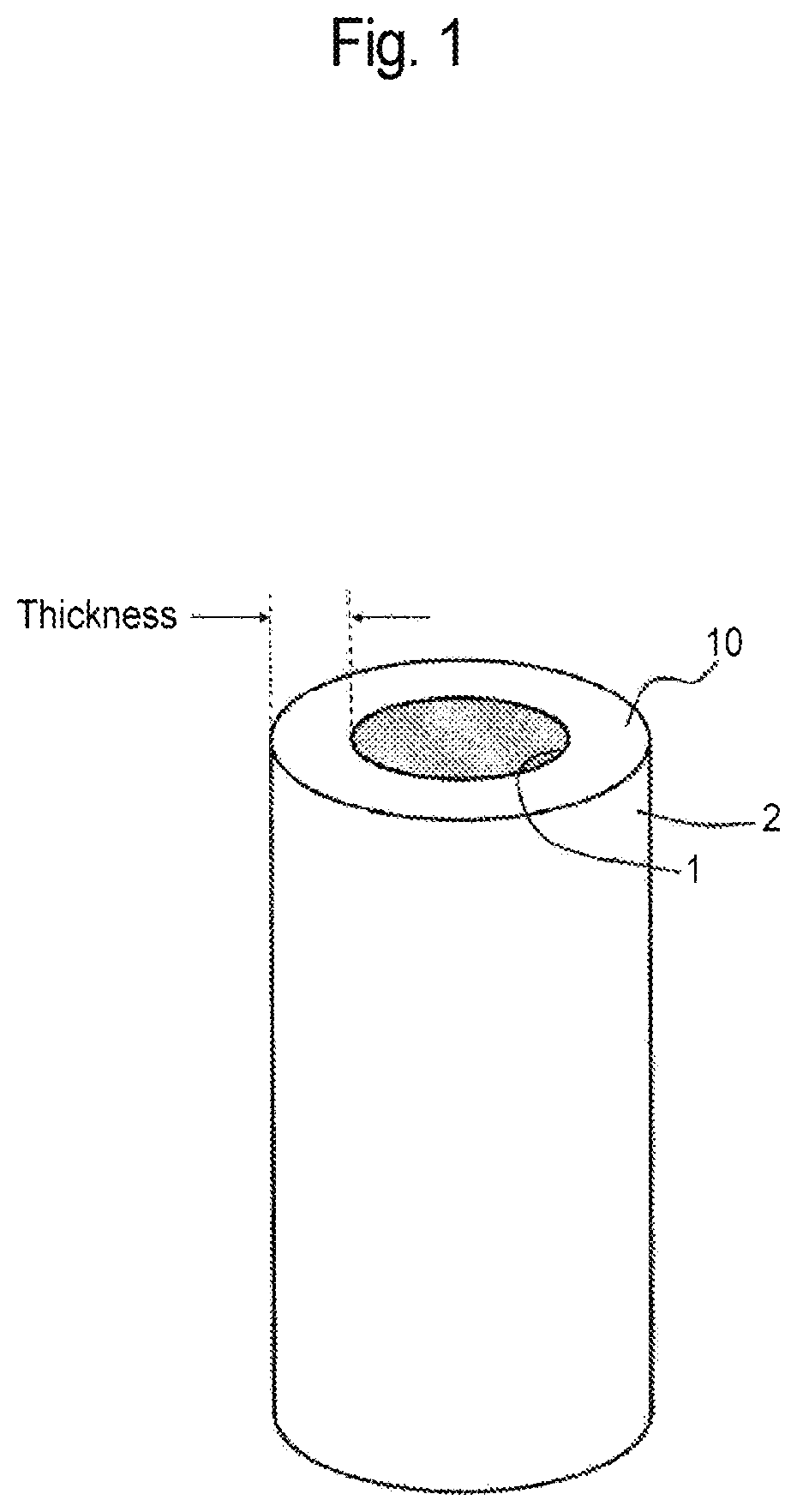Patent US12616940 — Virus removal membrane and method for manufacturing virus removal membrane — Figure 1
