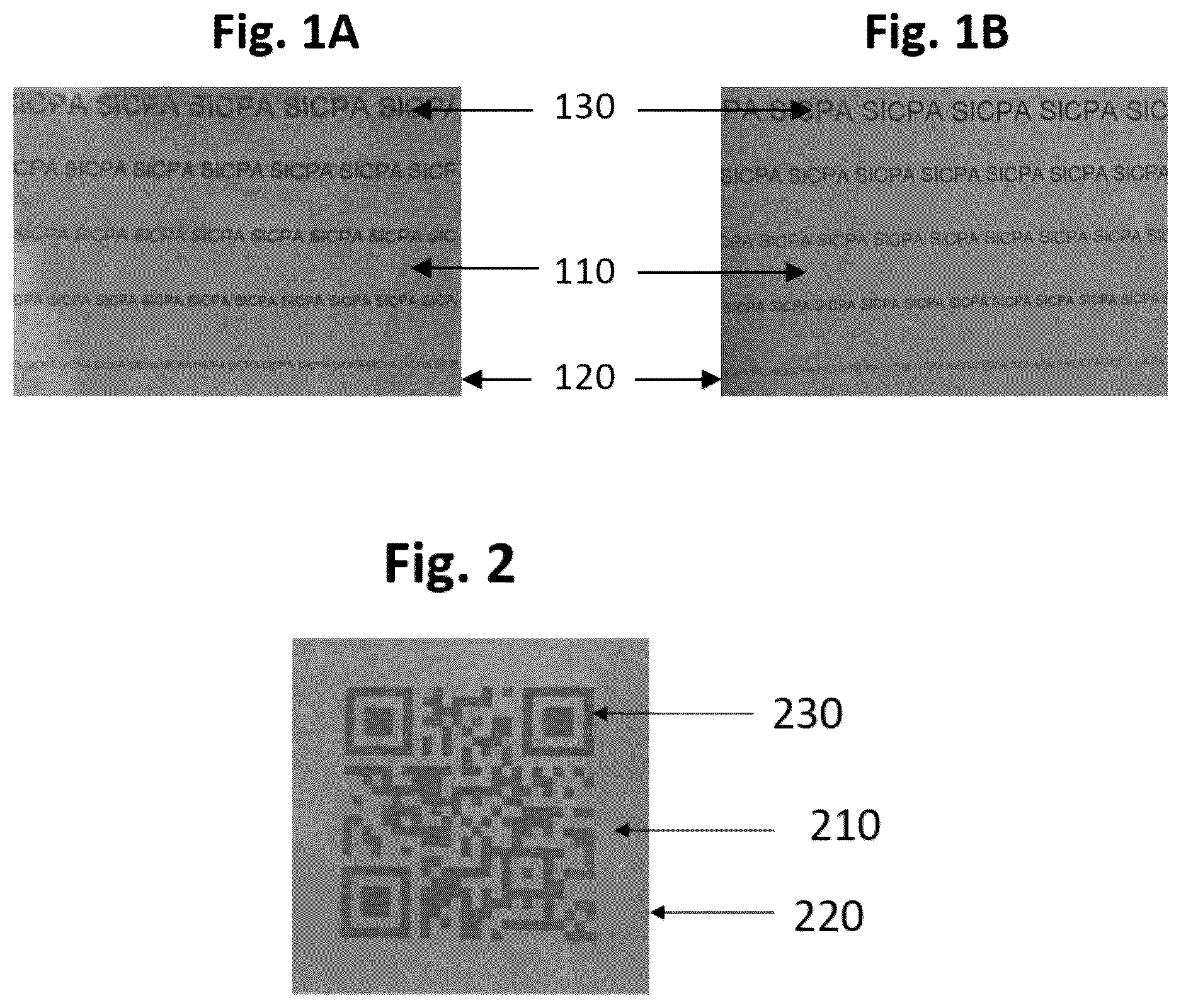 Patent US12616995 — Methods for producing overt security features exhibiting one or more indicia — Figure 1