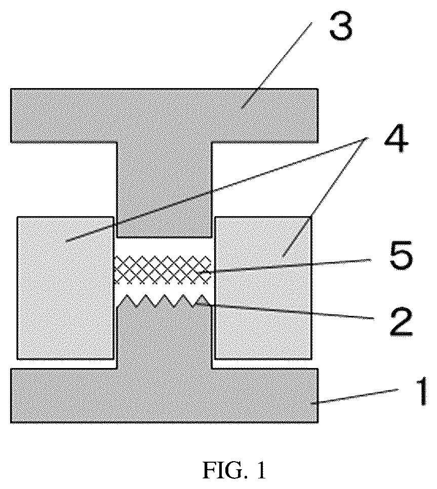 Patent US12617130 — Manufacturing of molded article using a composition for molding containing a pyrolytic water discharge substance and a fibroin — Figure 1